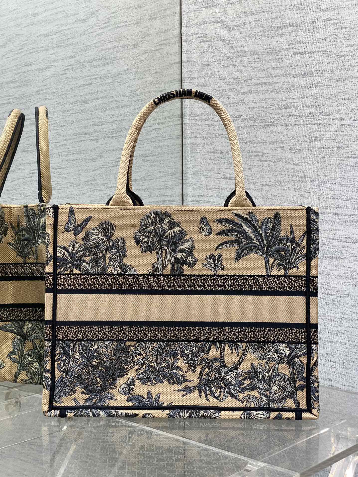 BAG-DIOR-W-LY-204