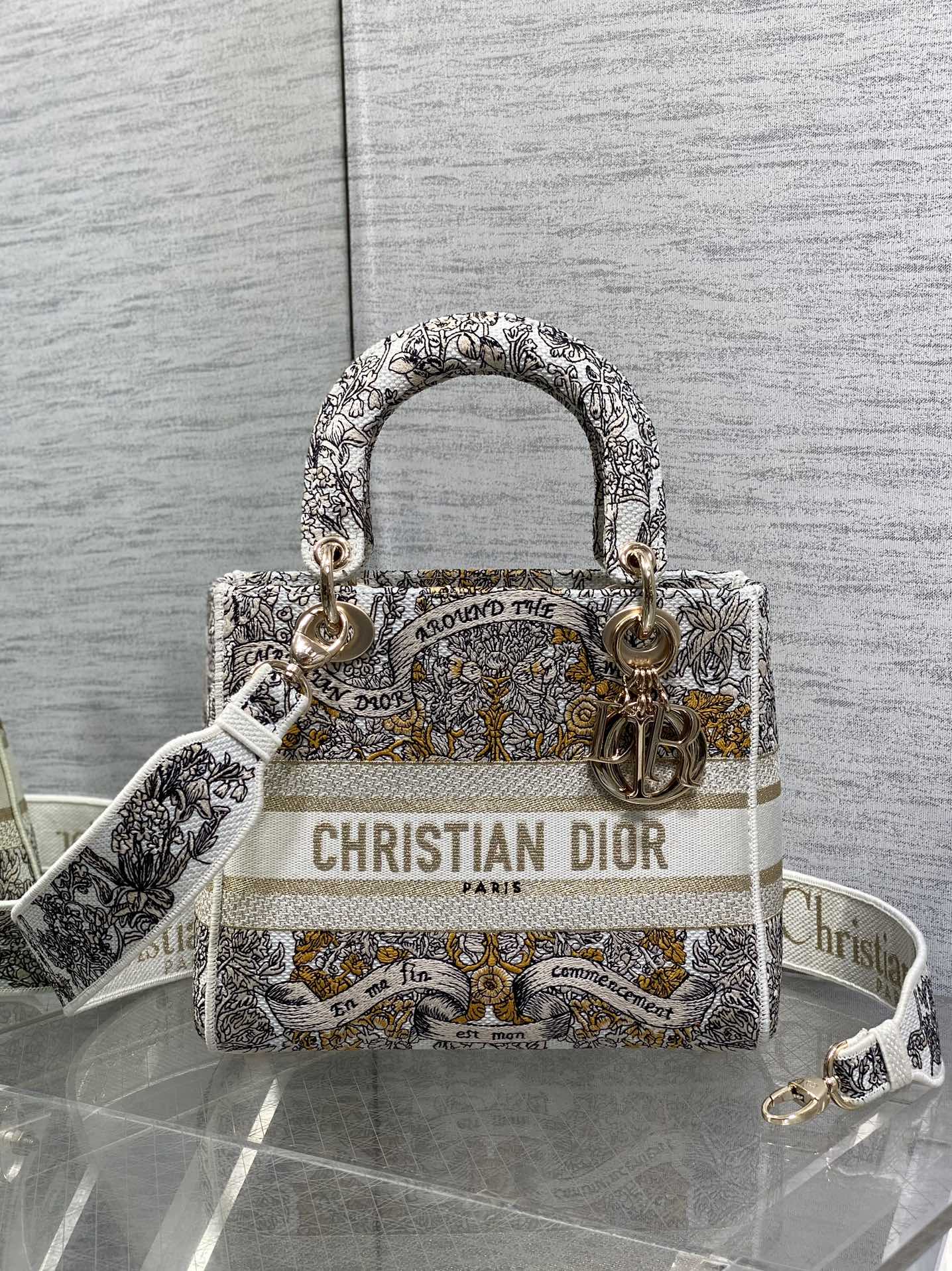 BAG-DIOR-W-LY-494