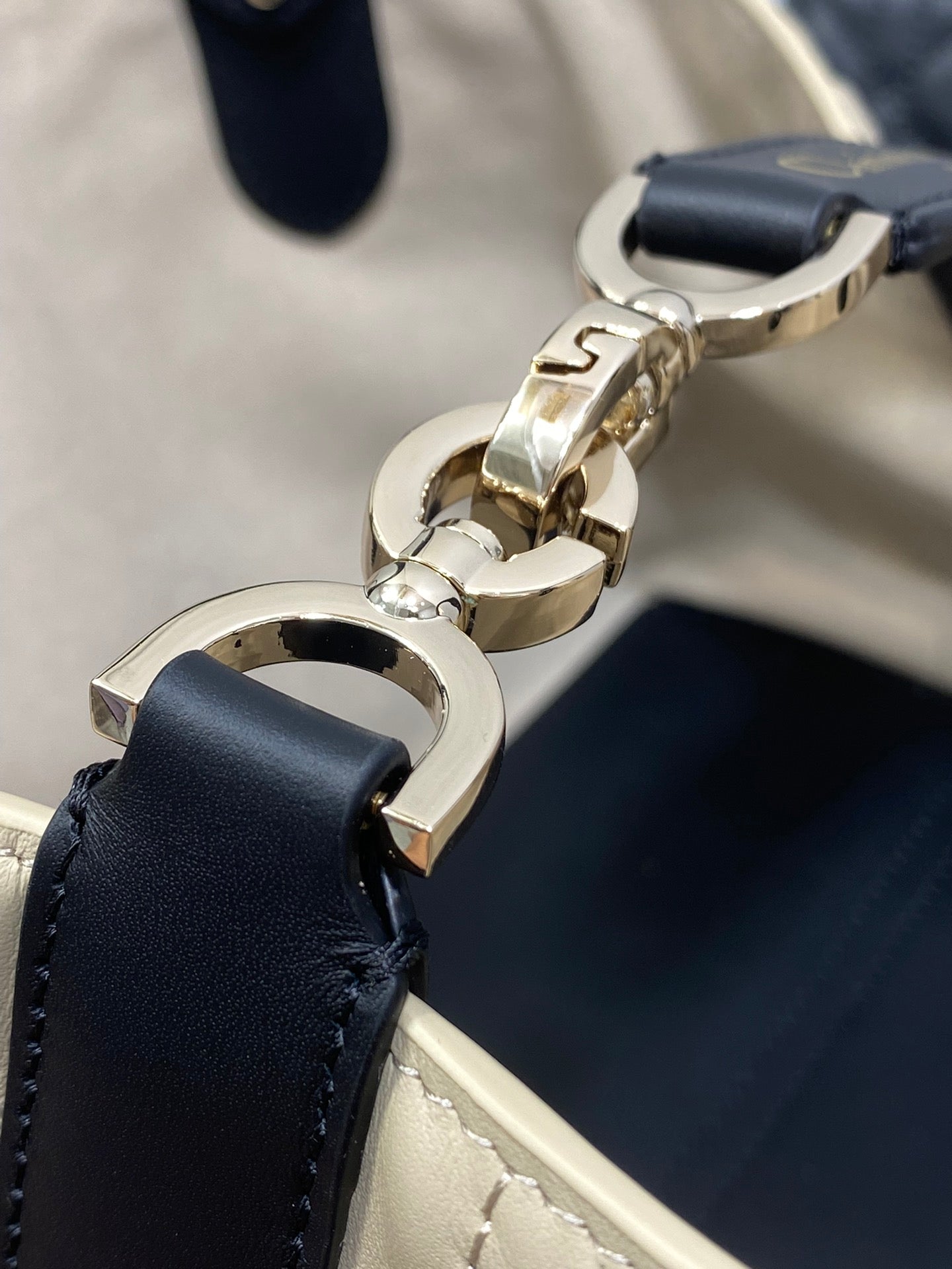 BAG-DIOR-W-LY-155