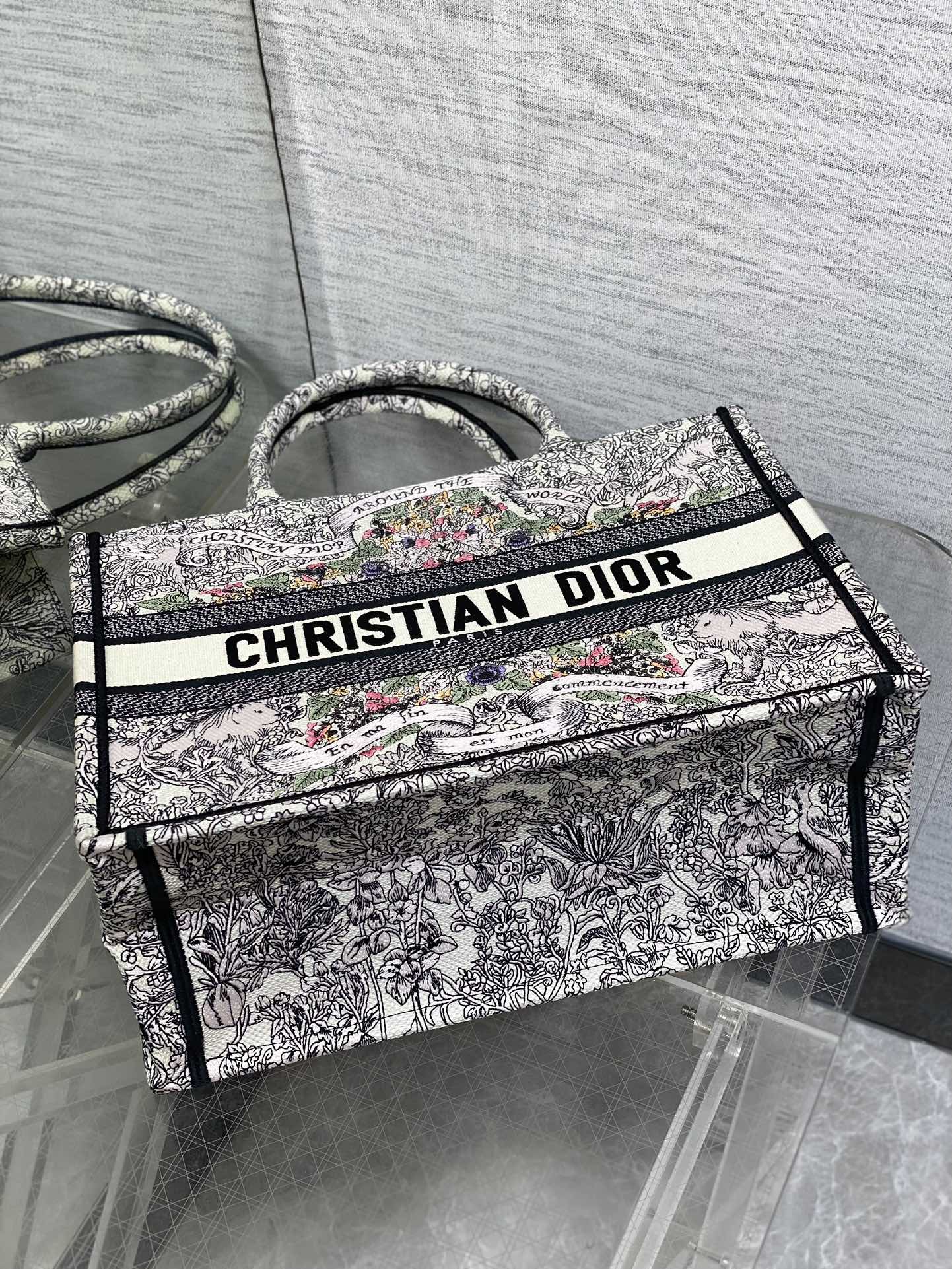 BAG-DIOR-W-LY-843
