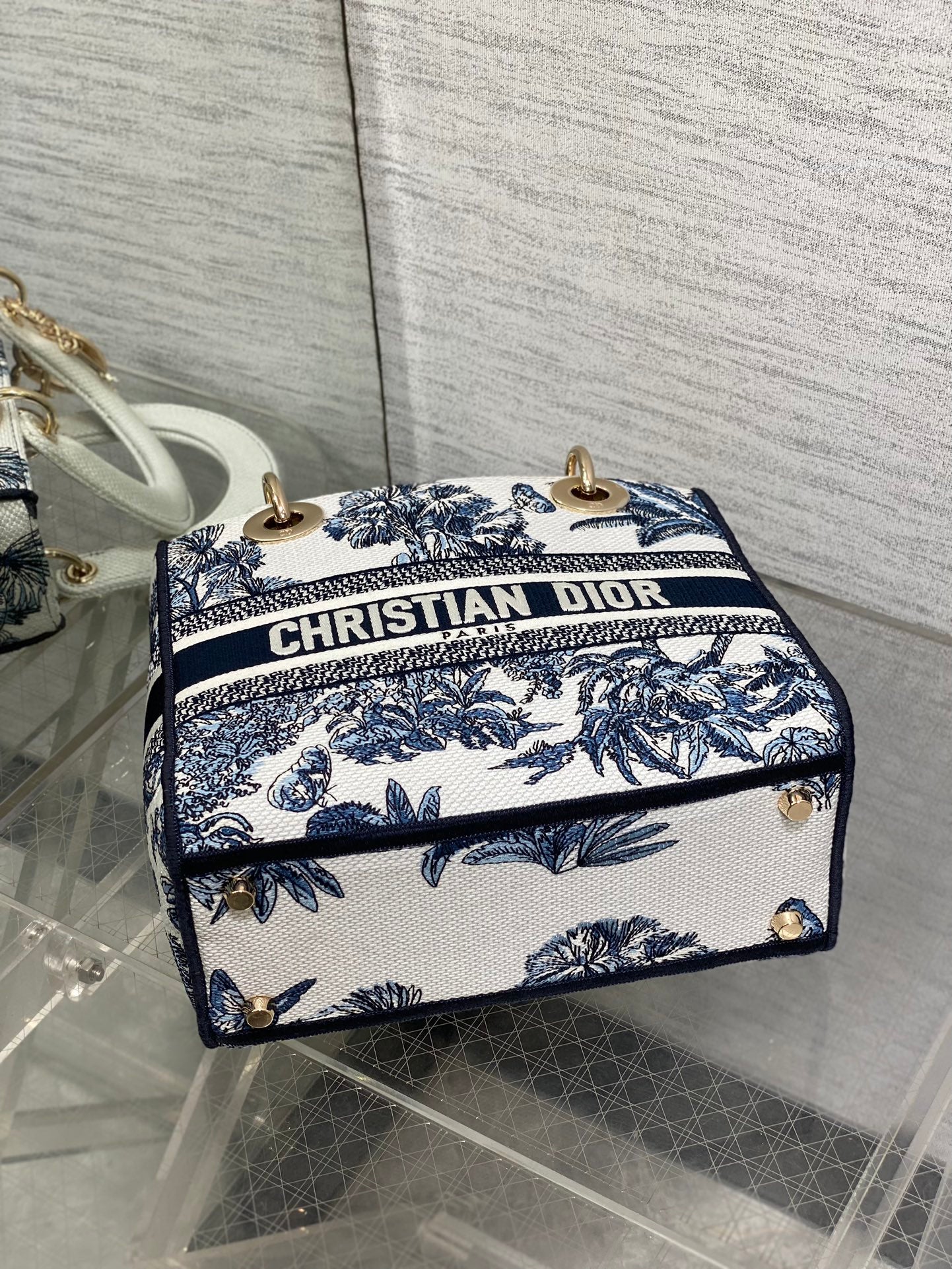 BAG-DIOR-W-LY-515