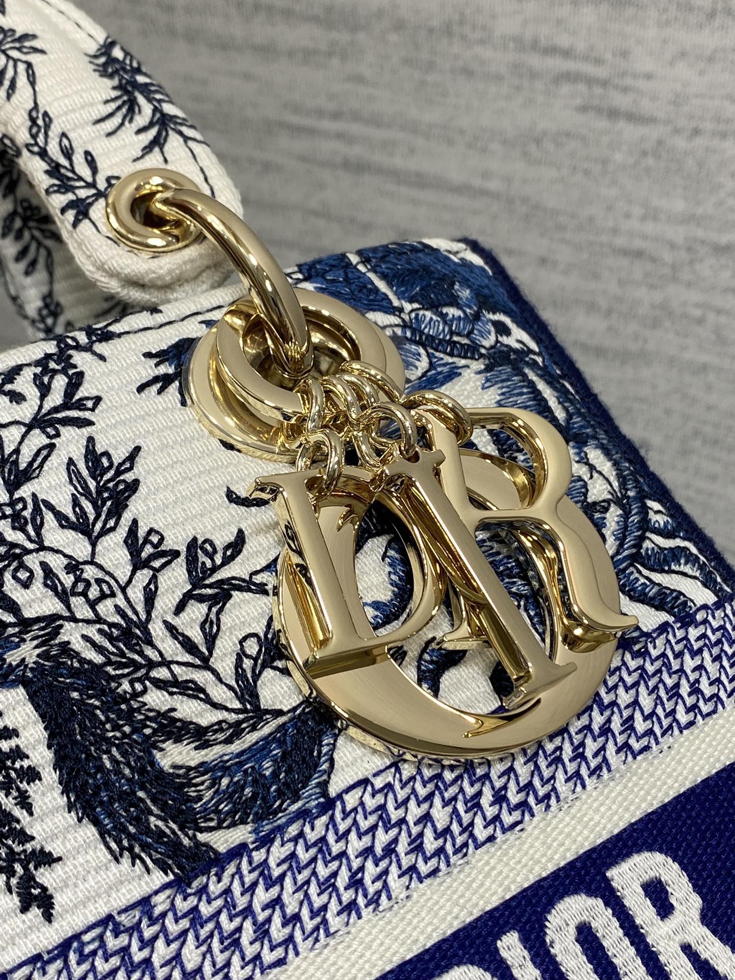 BAG-DIOR-W-LY-454