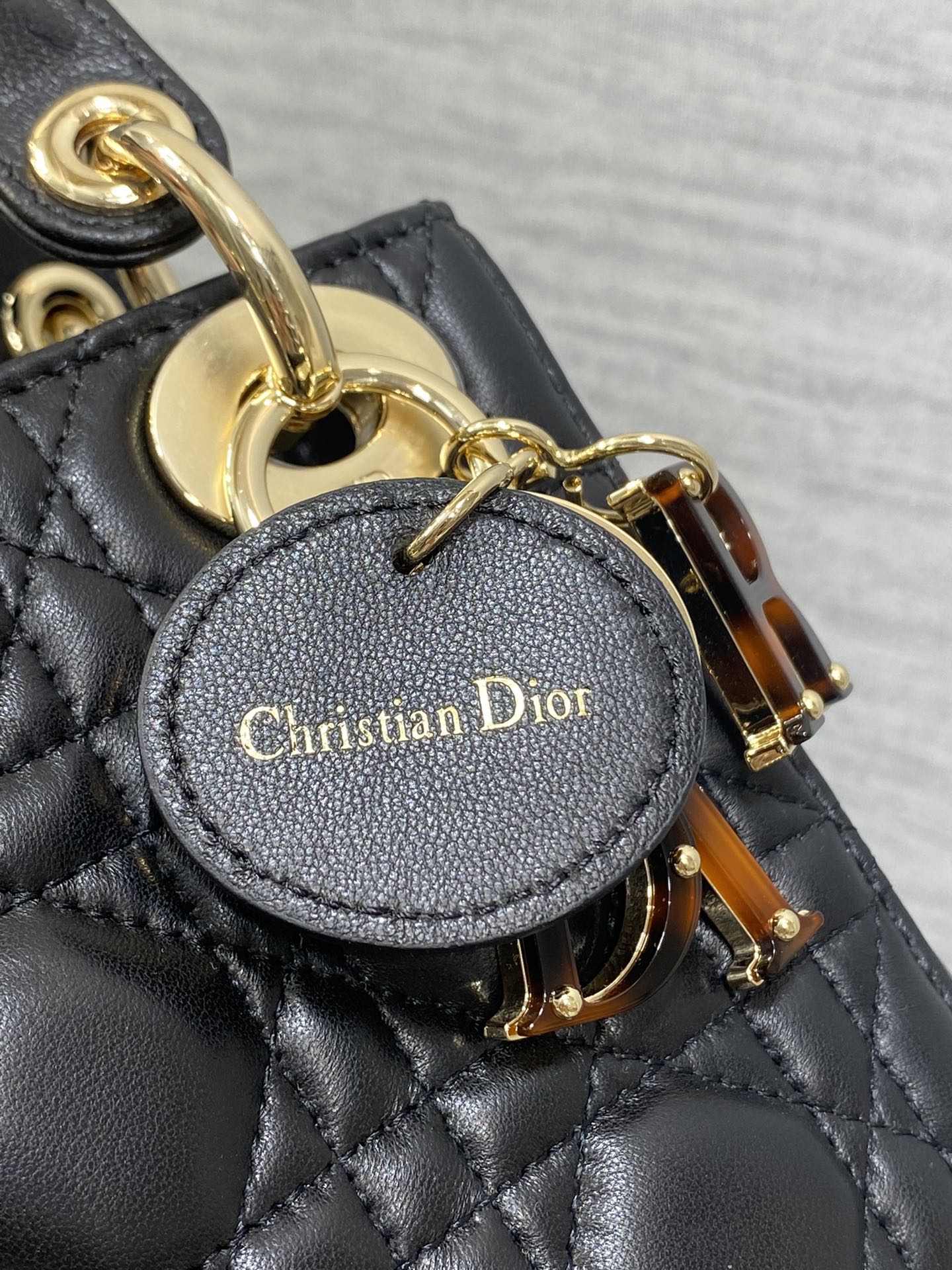 BAG-DIOR-W-LY-009