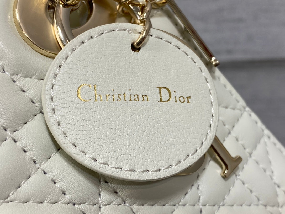 BAG-DIOR-W-LY-607