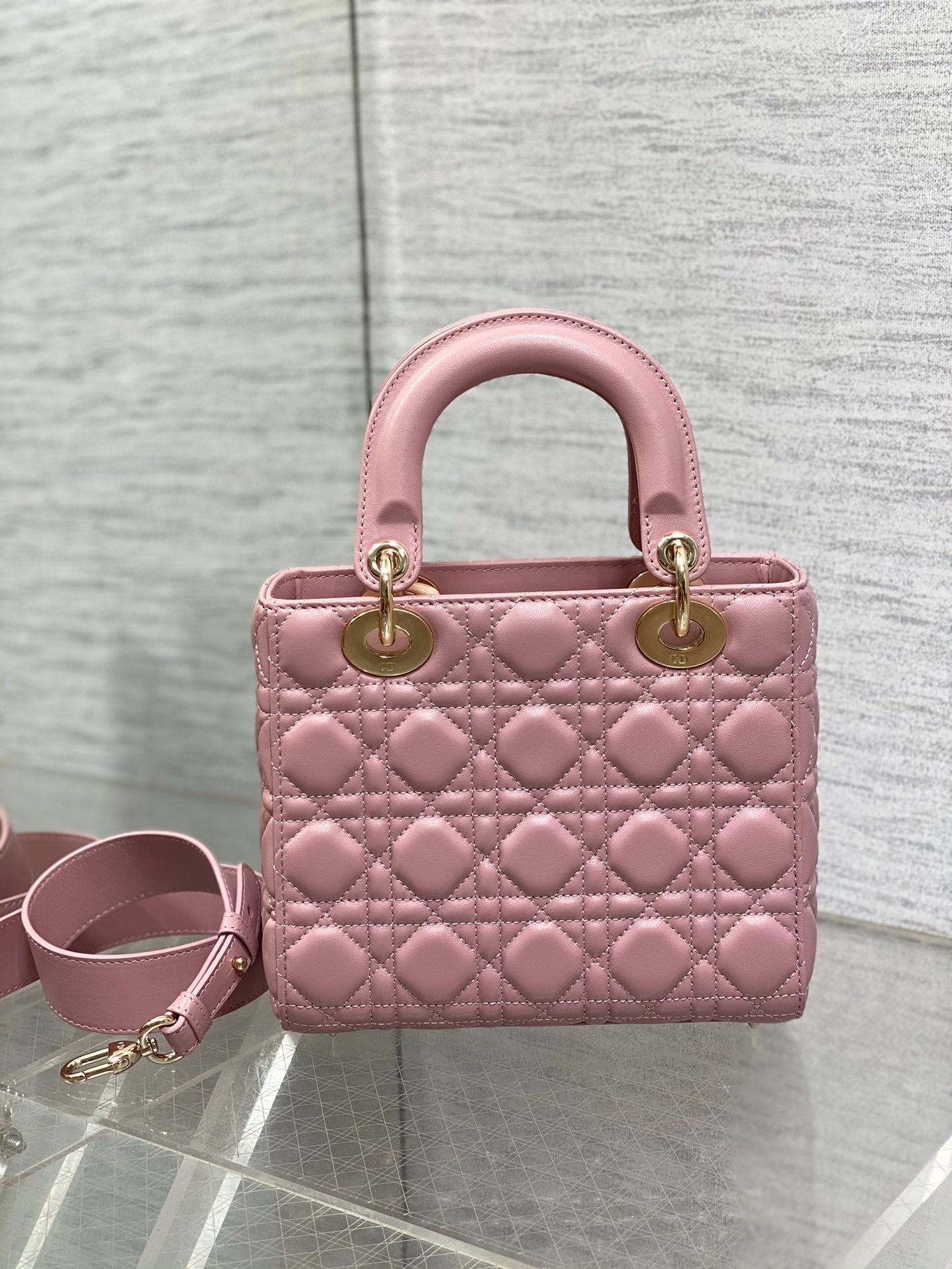 BAG-DIOR-W-LY-664