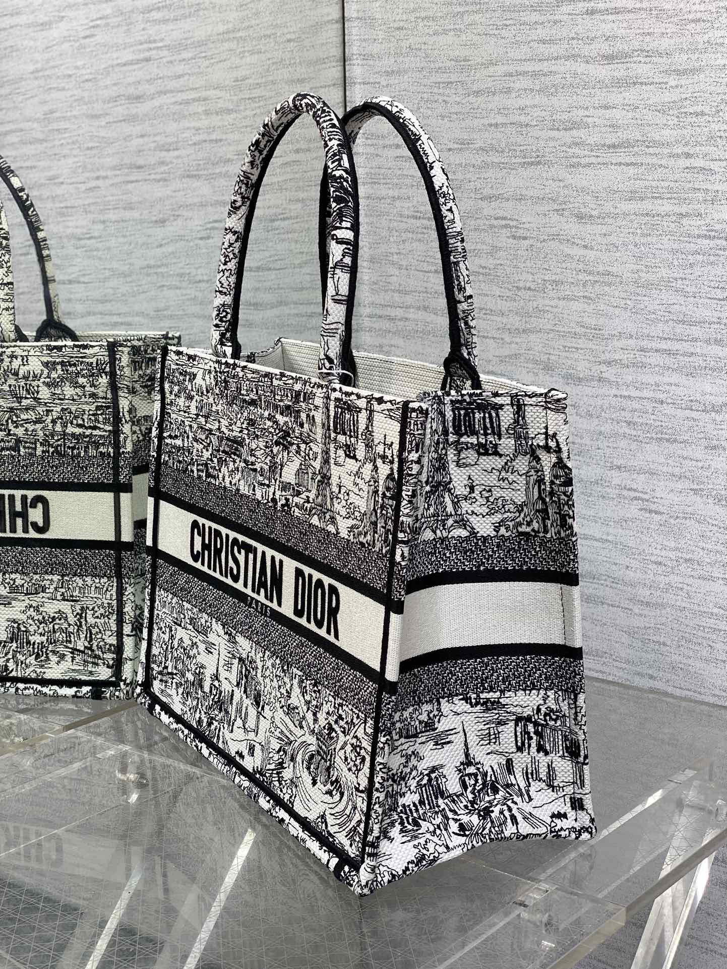 BAG-DIOR-W-LY-830