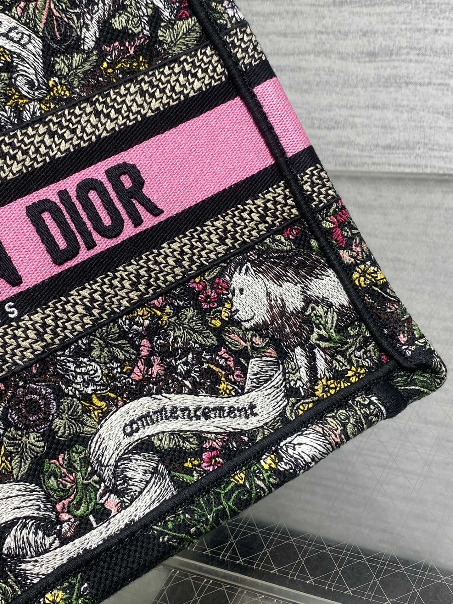 BAG-DIOR-W-LY-858