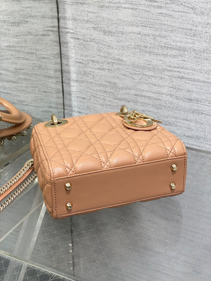 BAG-DIOR-W-LY-753