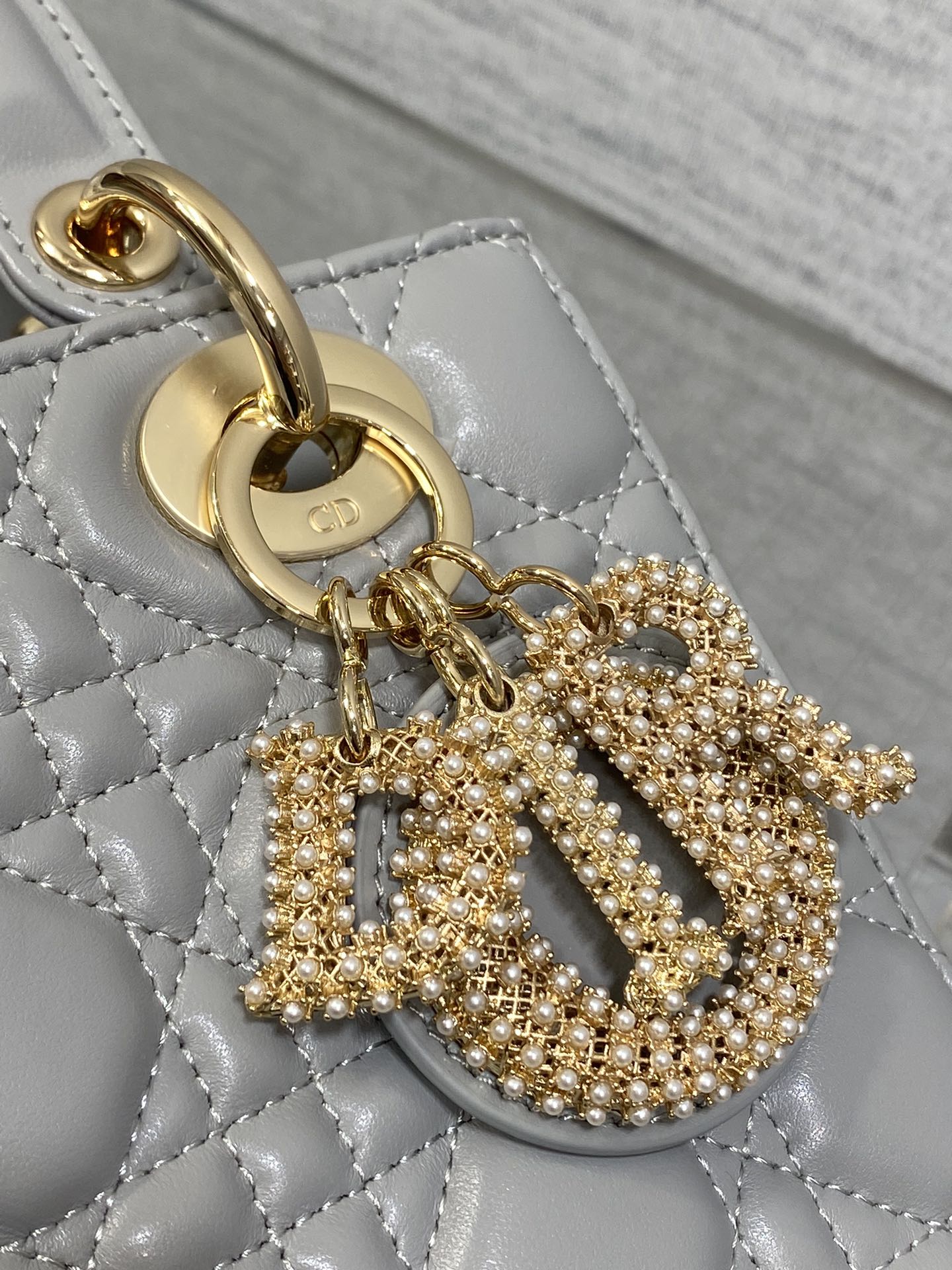 BAG-DIOR-W-LY-738