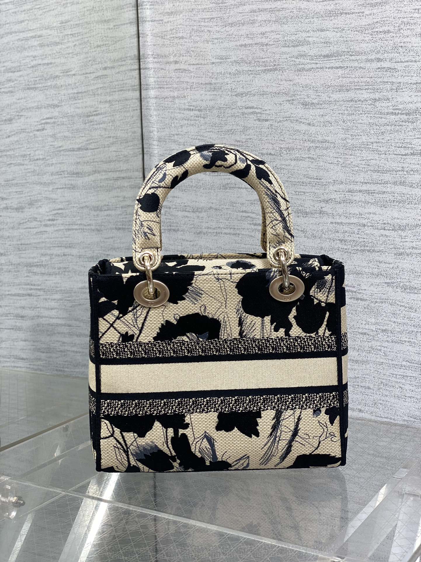 BAG-DIOR-W-LY-493