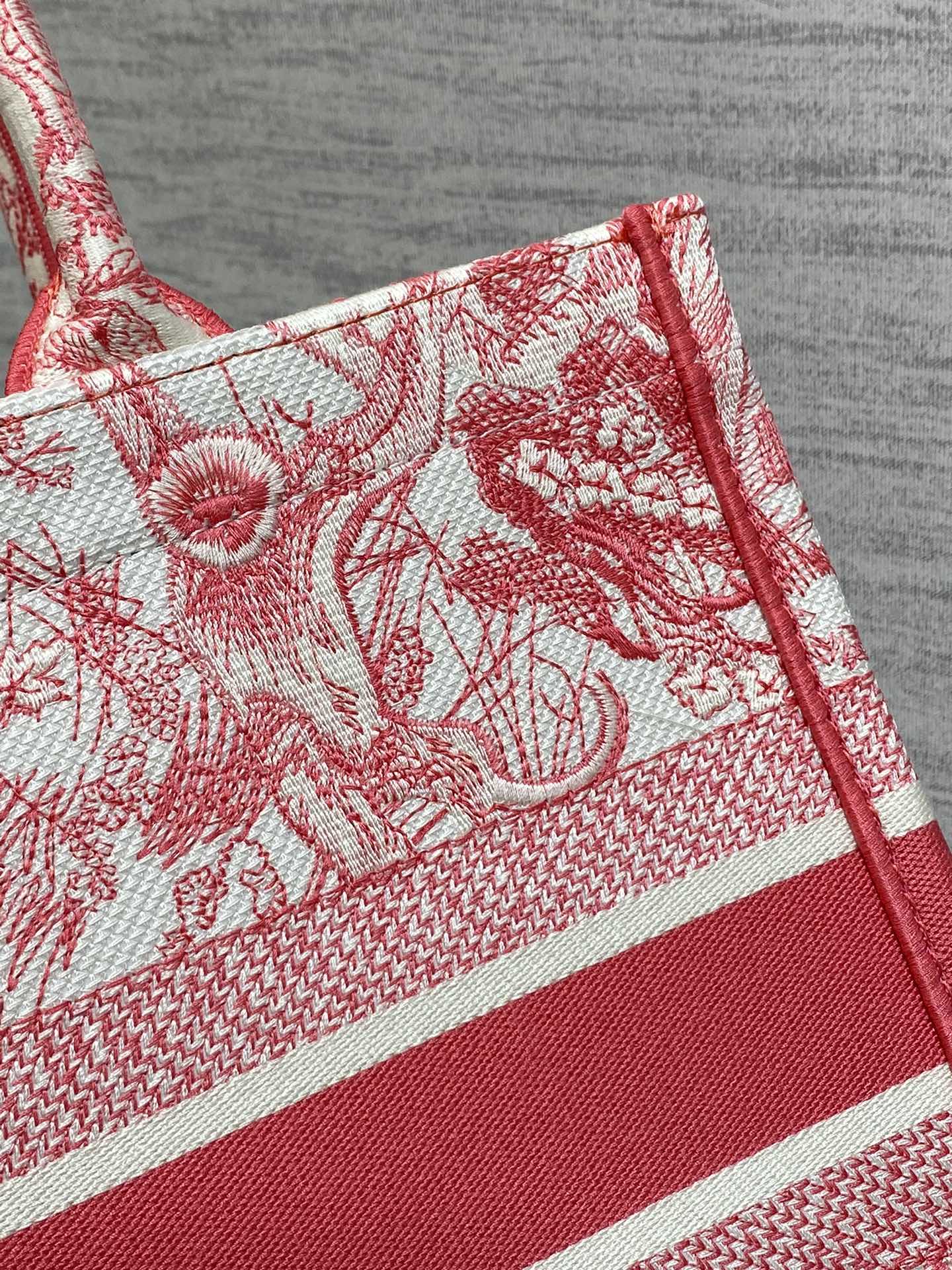 BAG-DIOR-W-LY-802