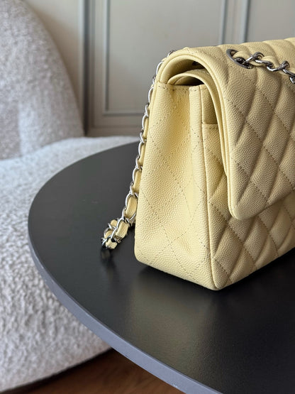 BAG-CHANEL-088