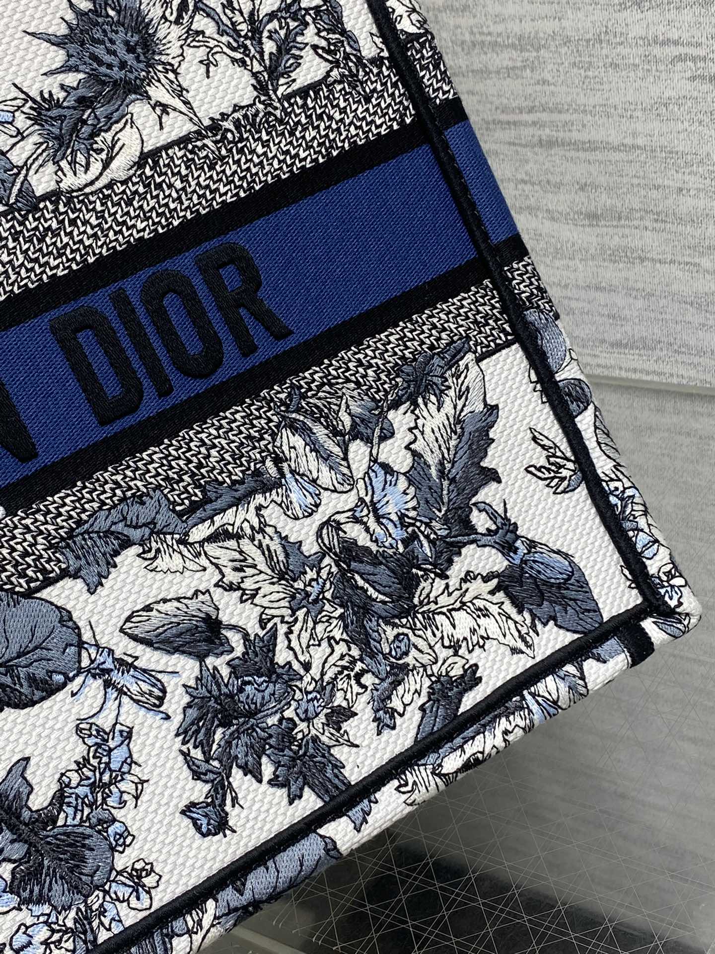 BAG-DIOR-W-LY-203