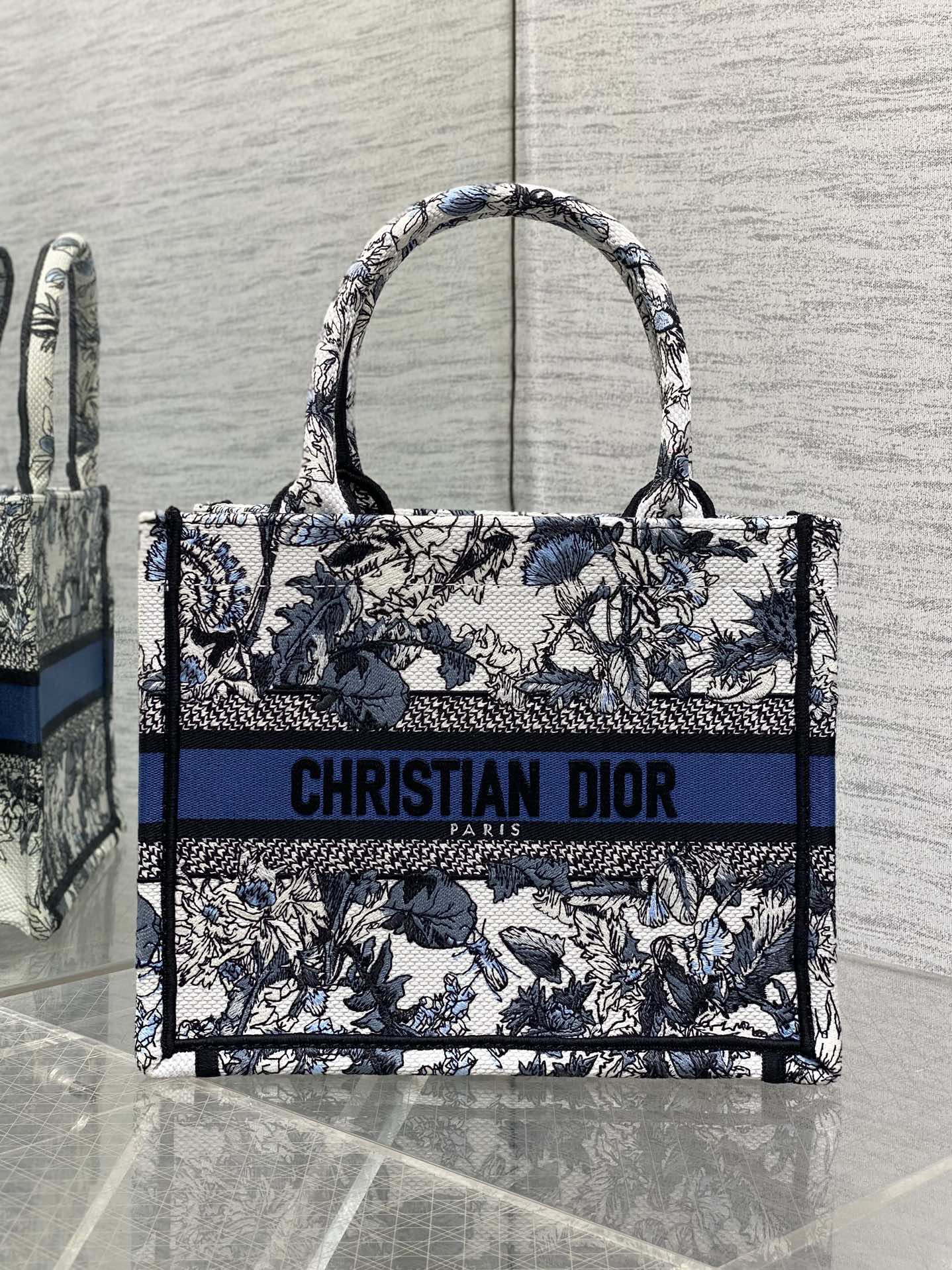 BAG-DIOR-W-LY-885