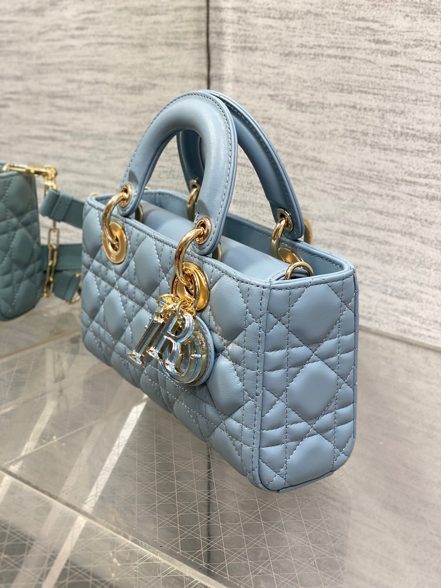 BAG-DIOR-W-LY-017