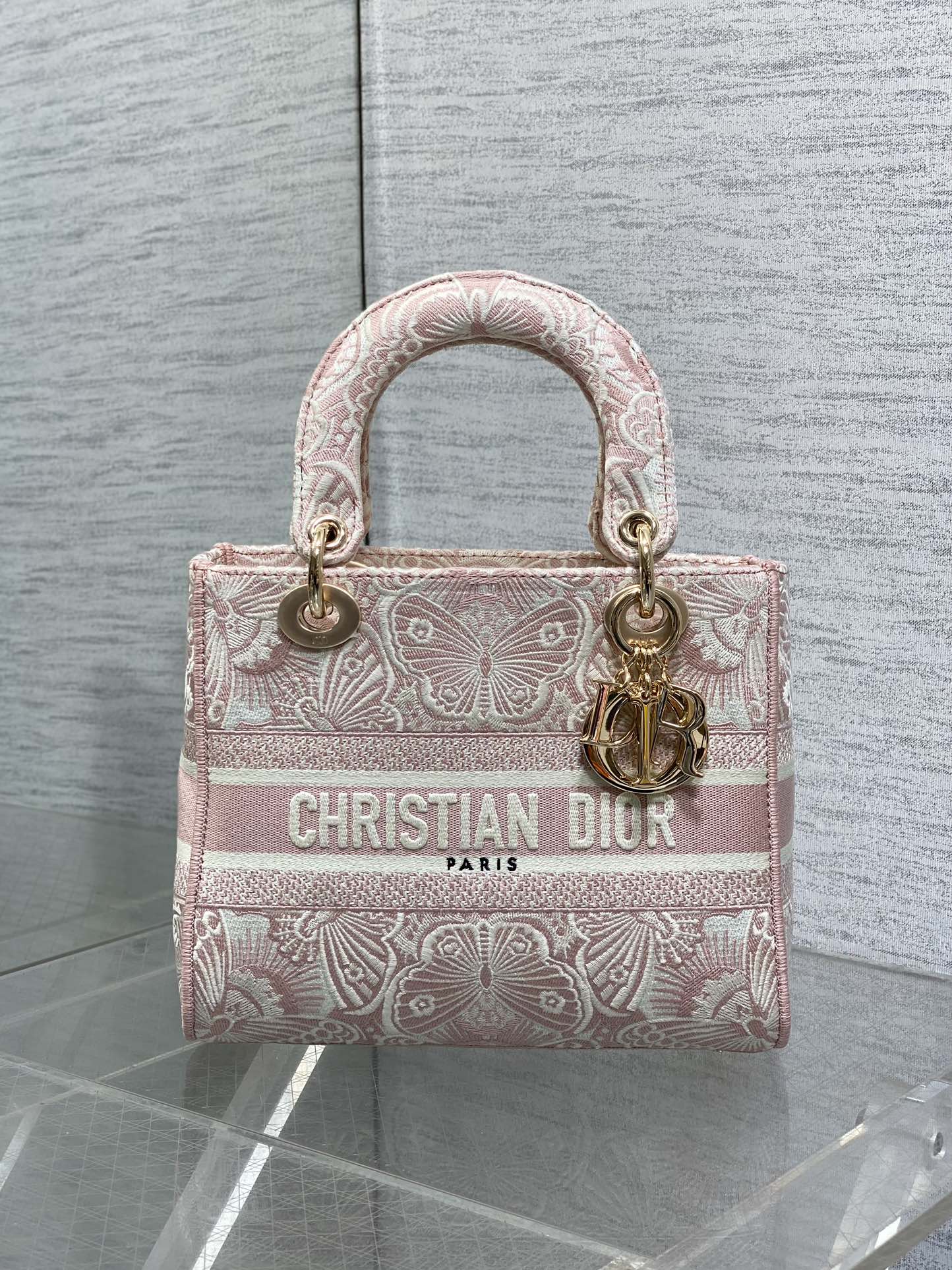 BAG-DIOR-W-LY-503
