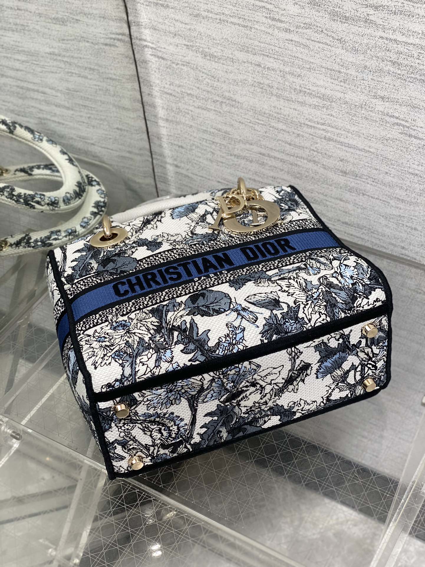 BAG-DIOR-W-LY-076