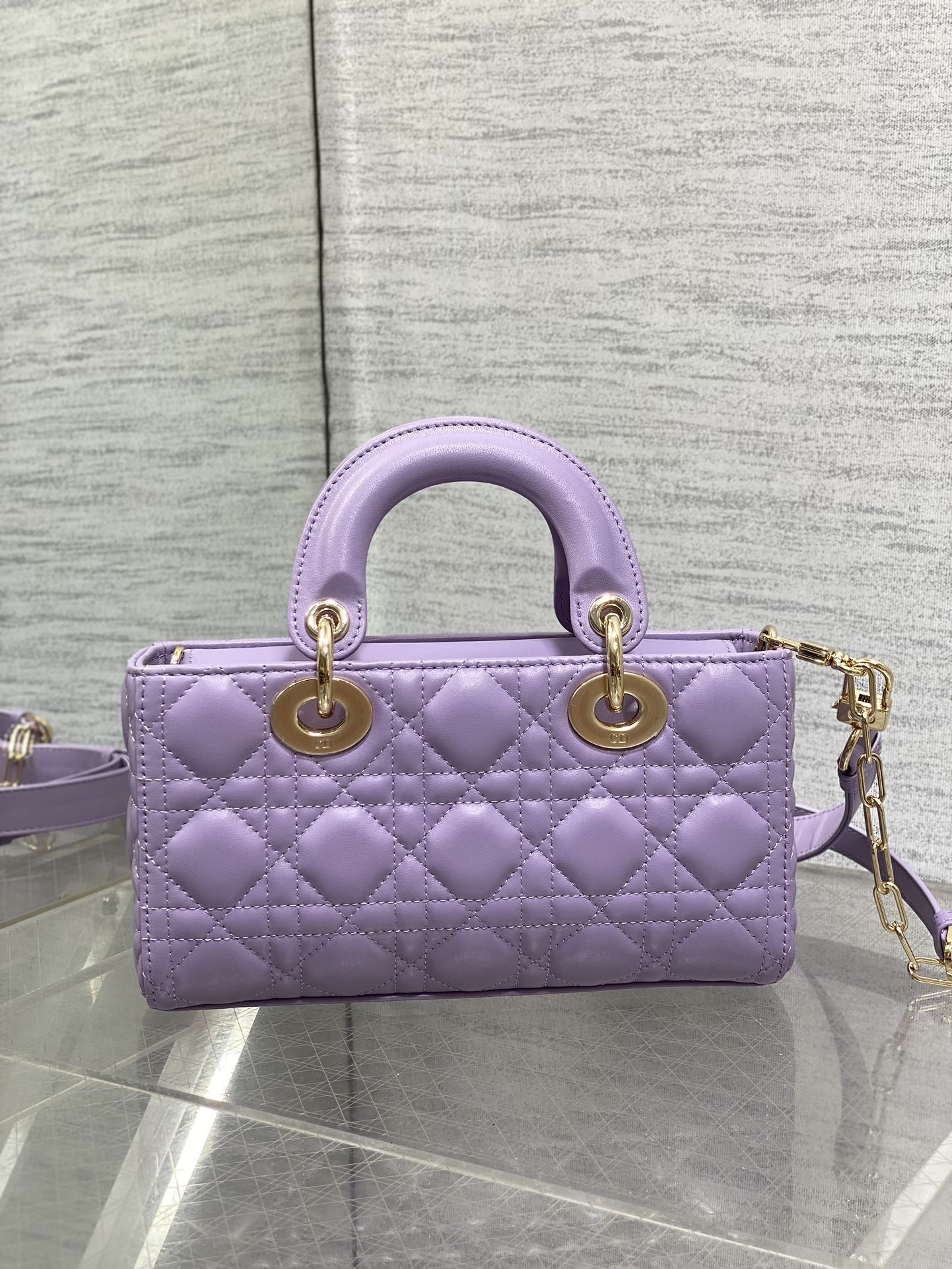 BAG-DIOR-W-LY-016