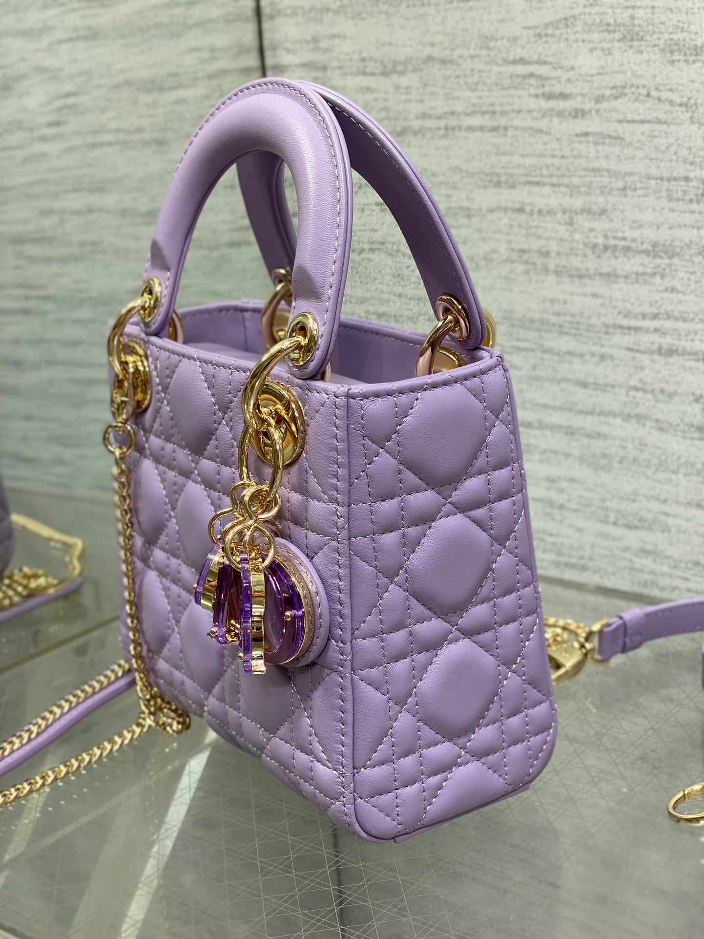 BAG-DIOR-W-LY-012