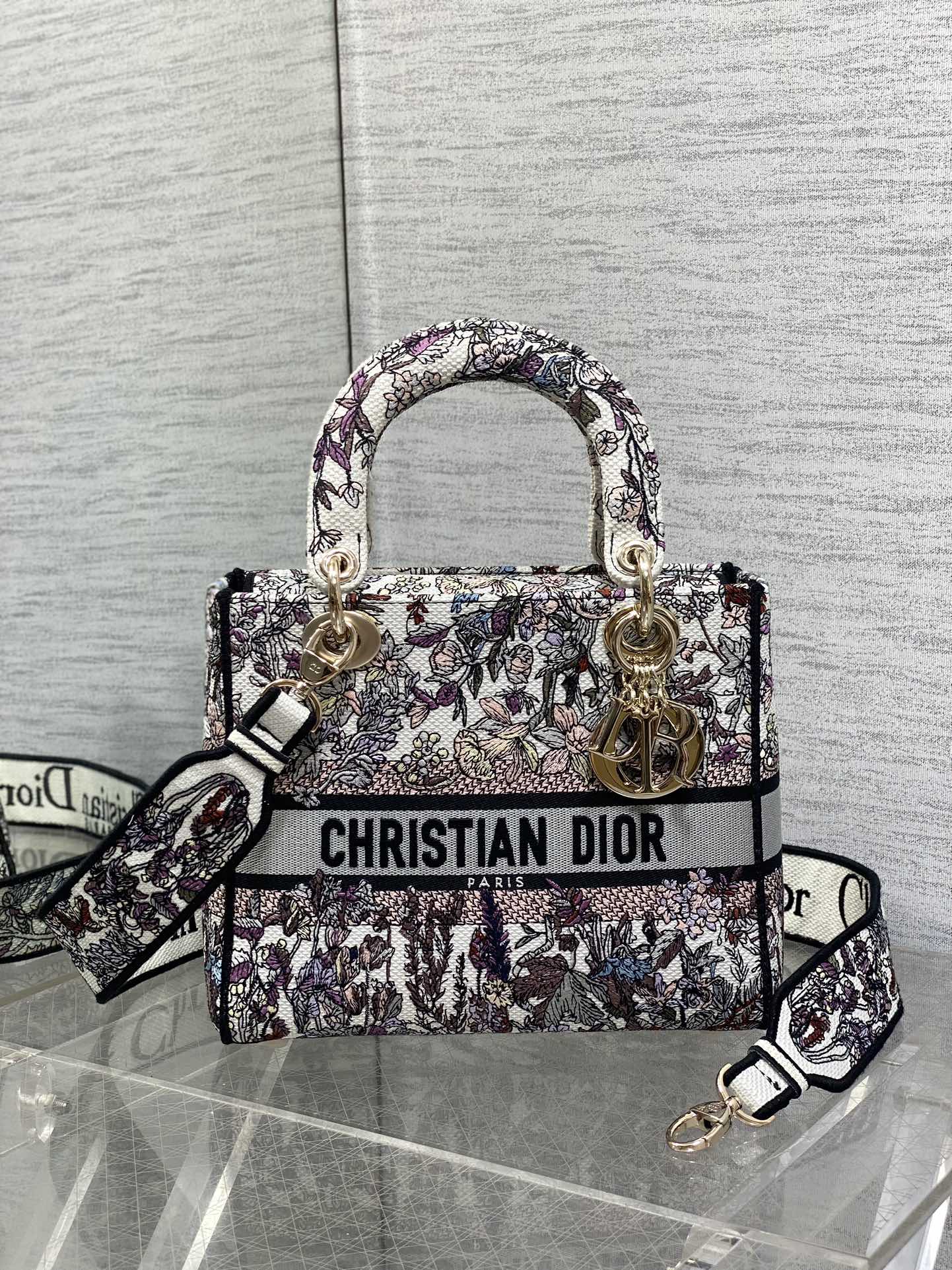 BAG-DIOR-W-LY-072