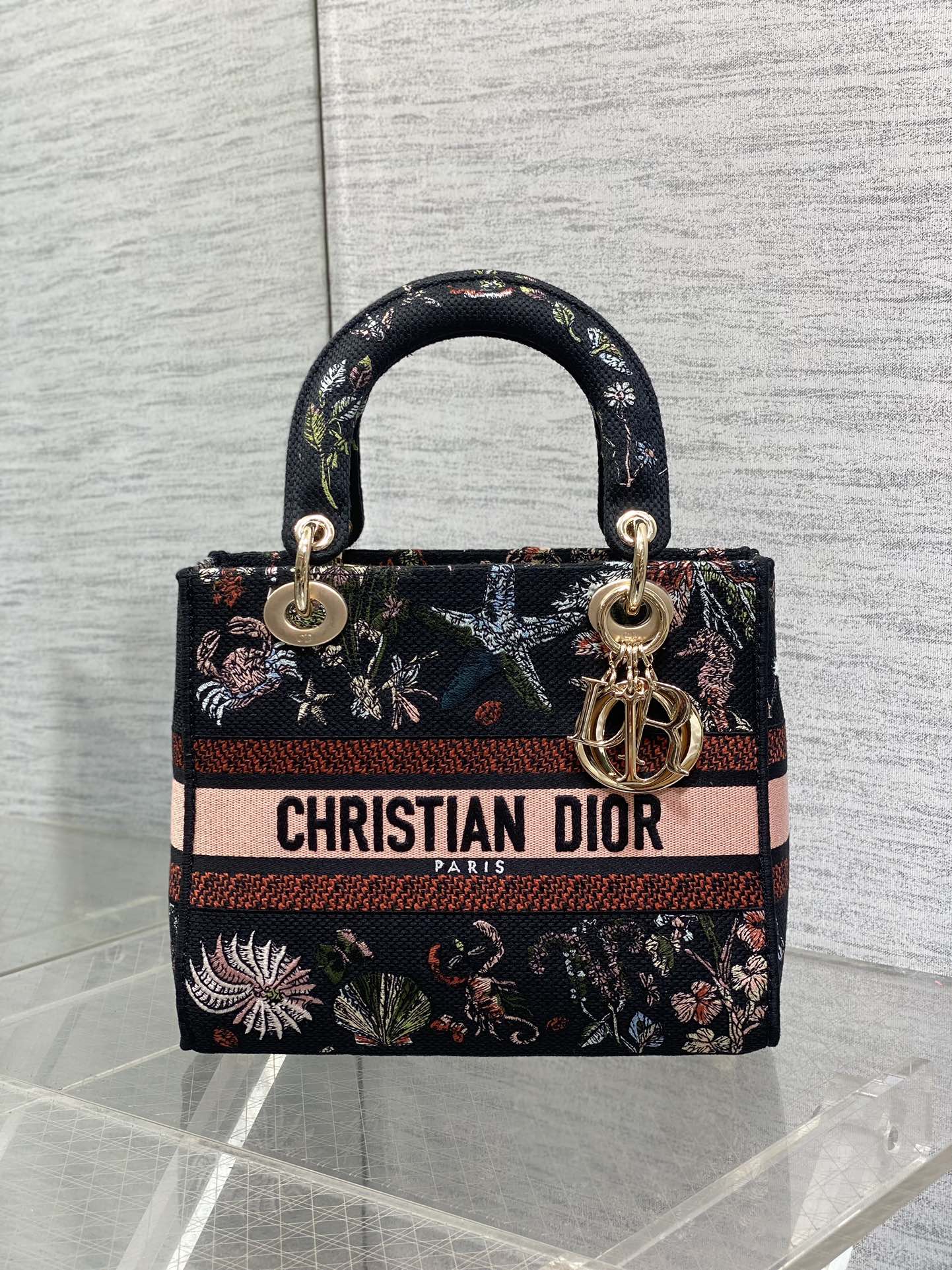 BAG-DIOR-W-LY-075
