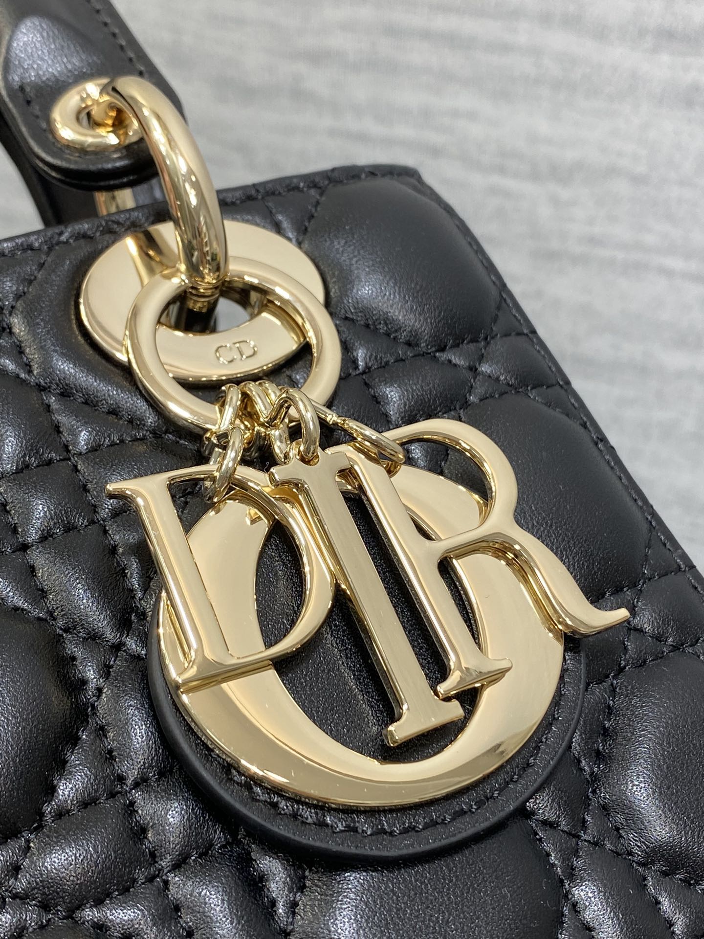 BAG-DIOR-W-LY-696