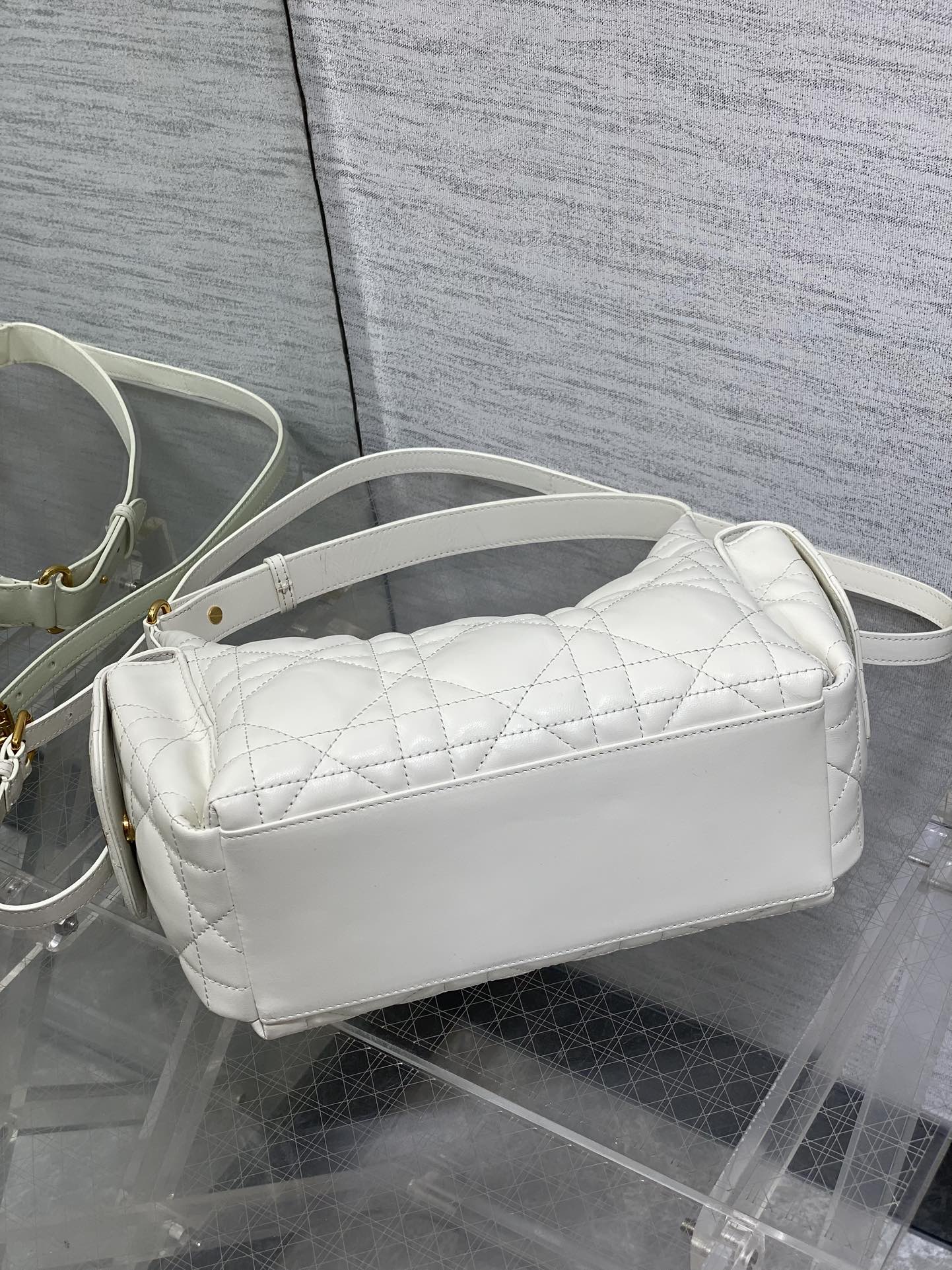 BAG-DIOR-W-LY-048