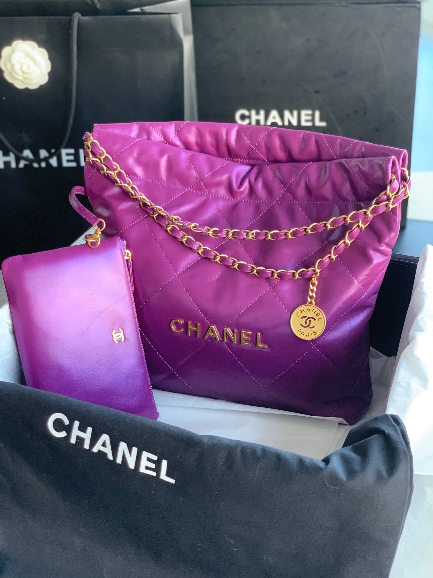 BAG-CHANEL-673