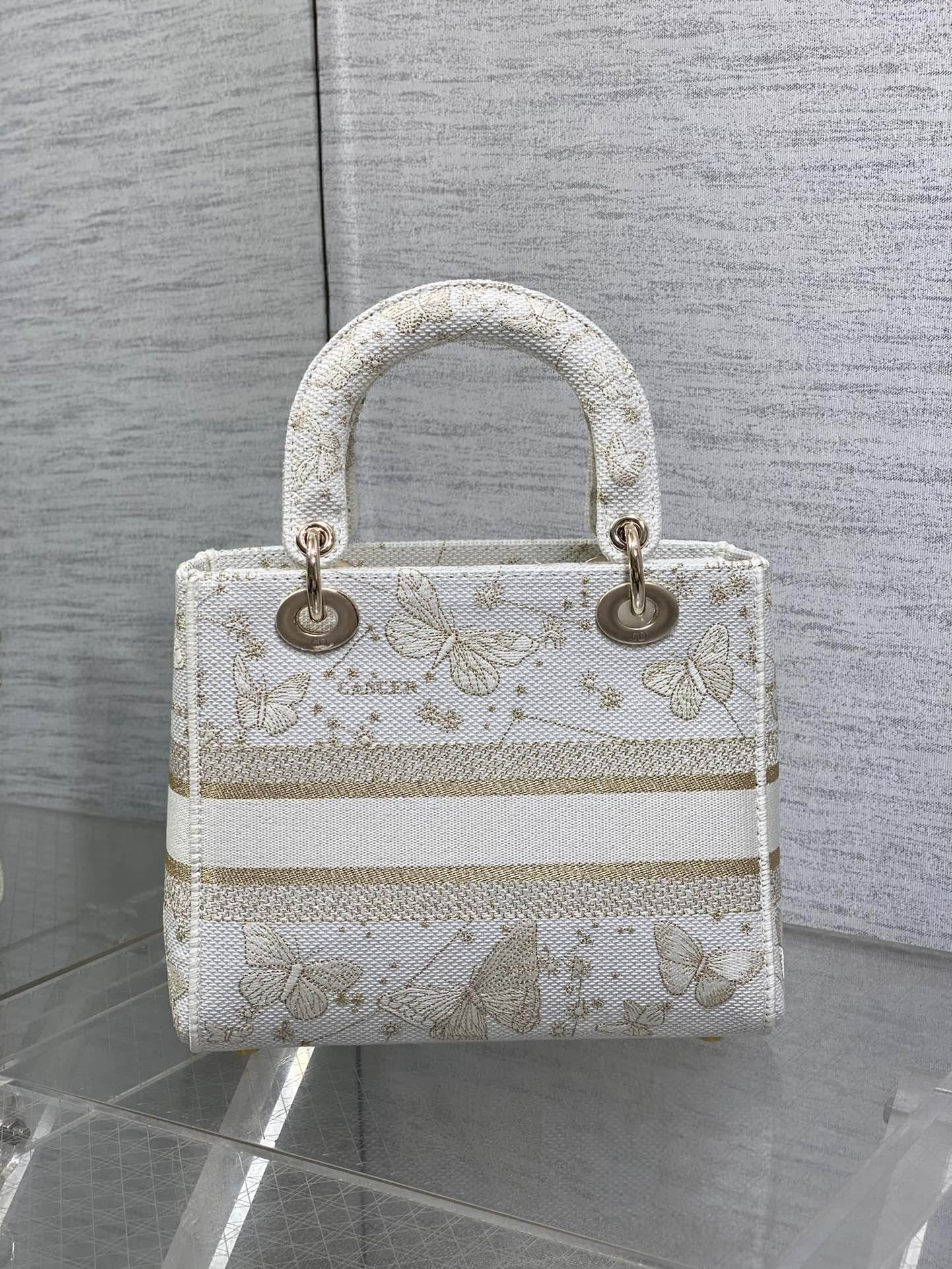 BAG-DIOR-W-LY-448