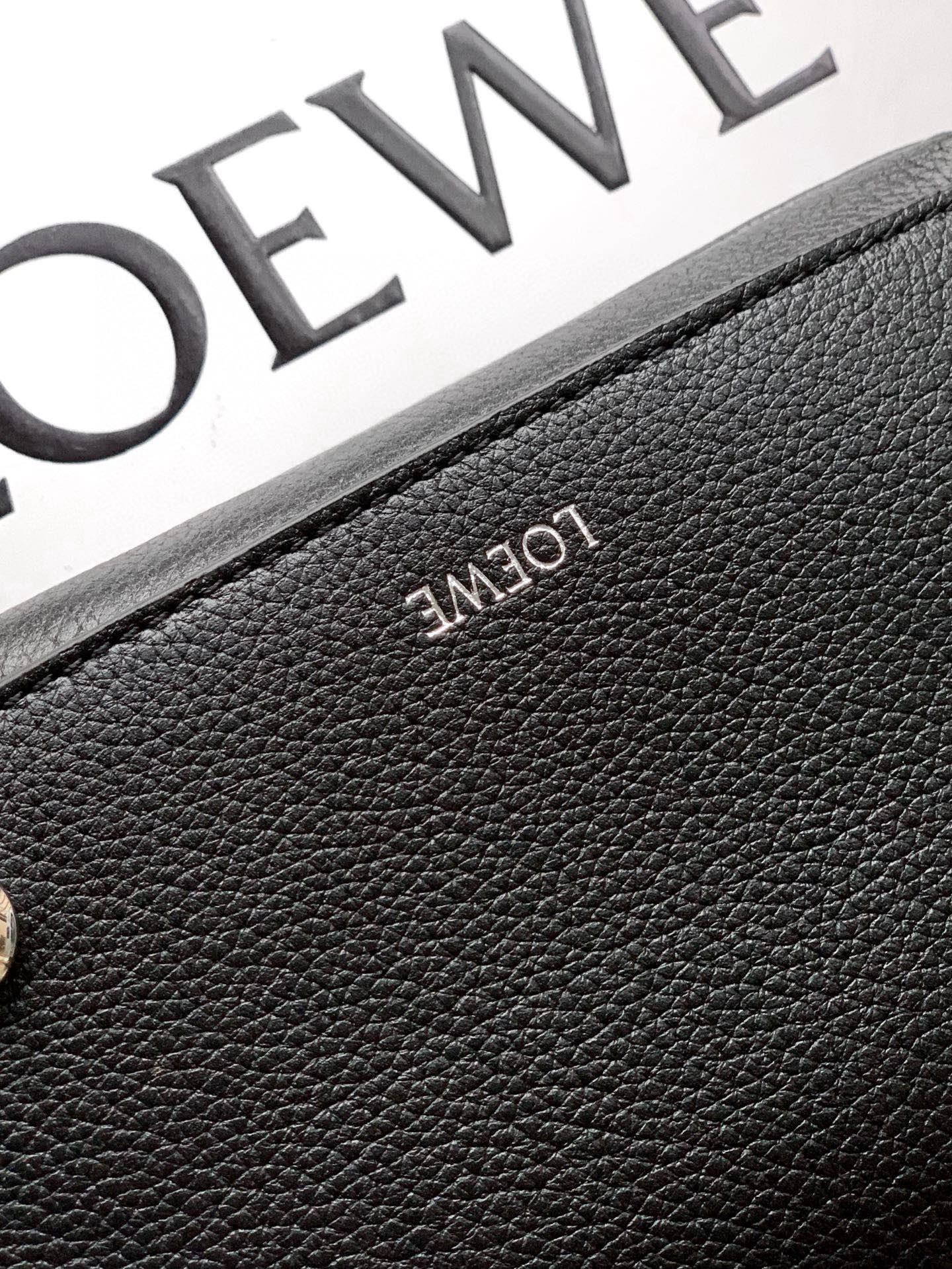 BAG-LW-309