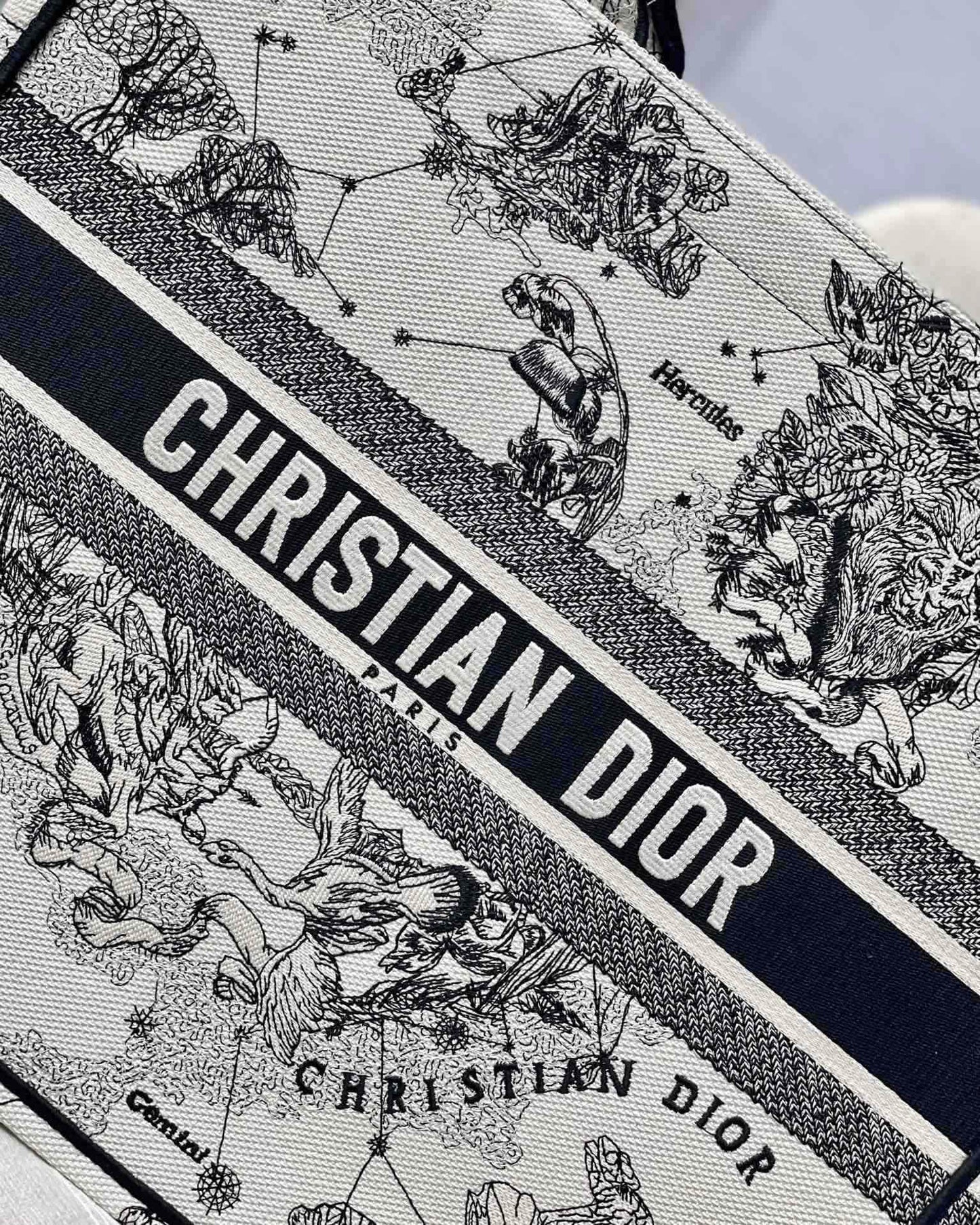 BAG-DIOR-W-LY-904
