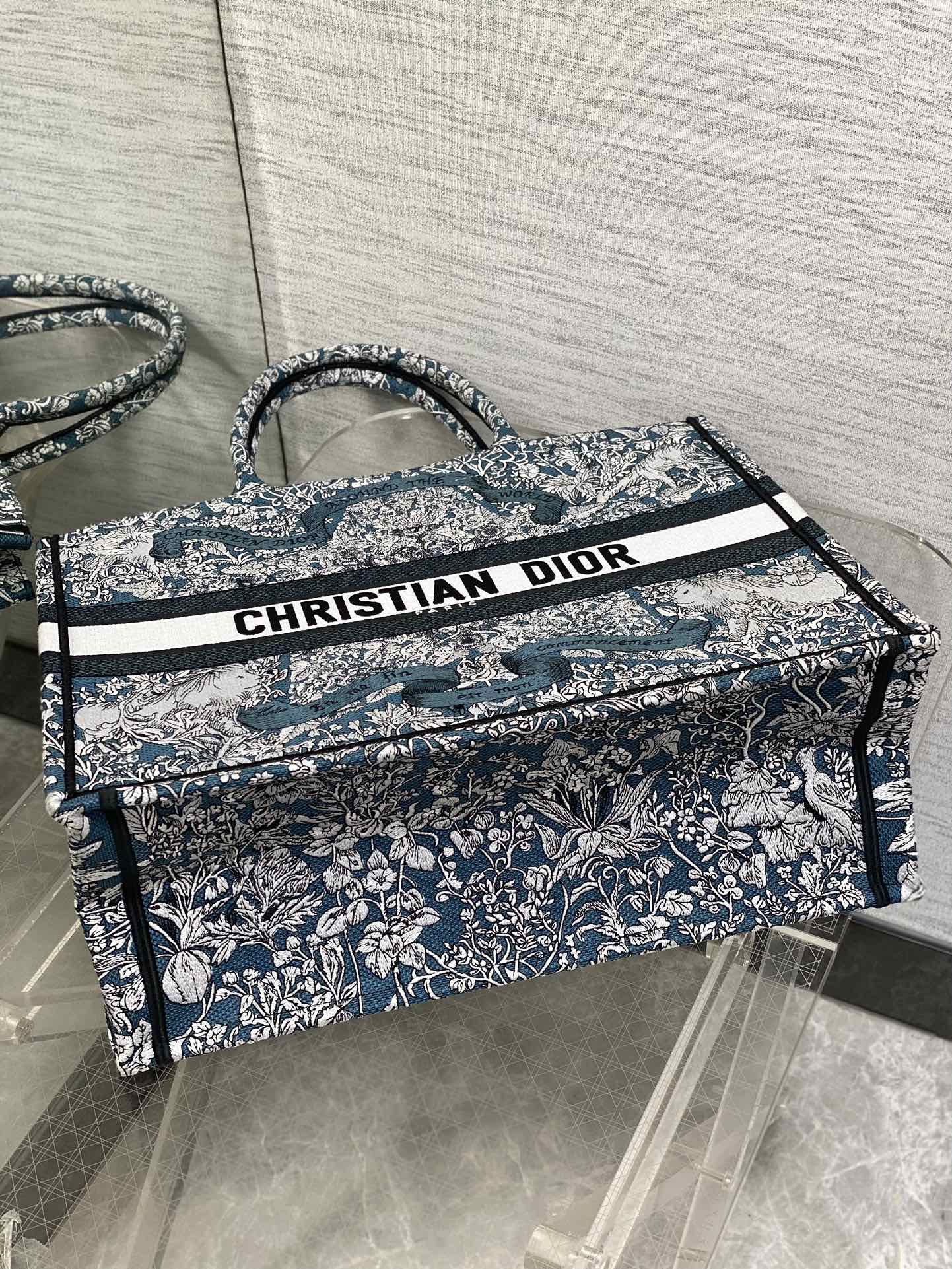 BAG-DIOR-W-LY-848