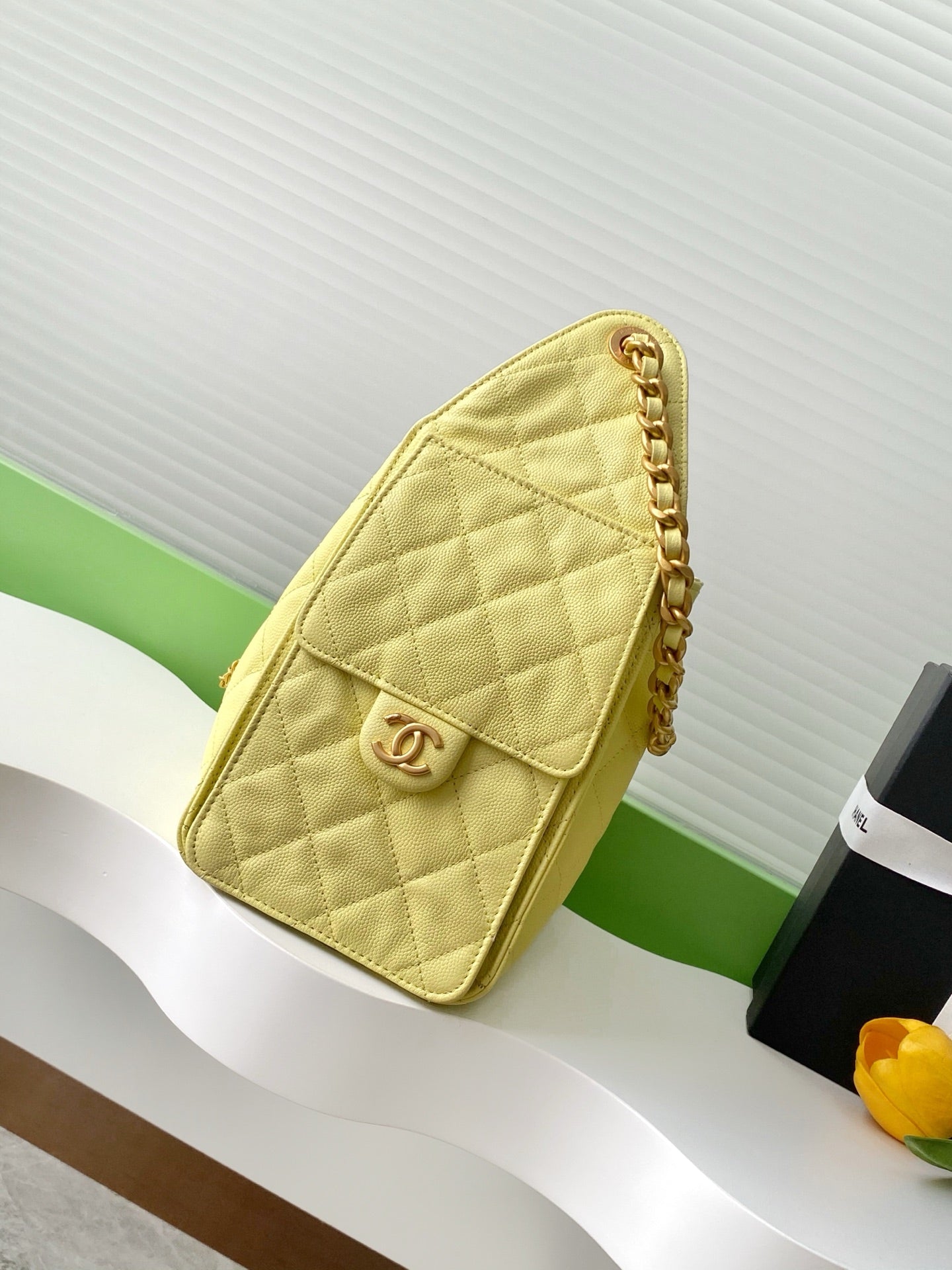 BAG-CHANEL-230