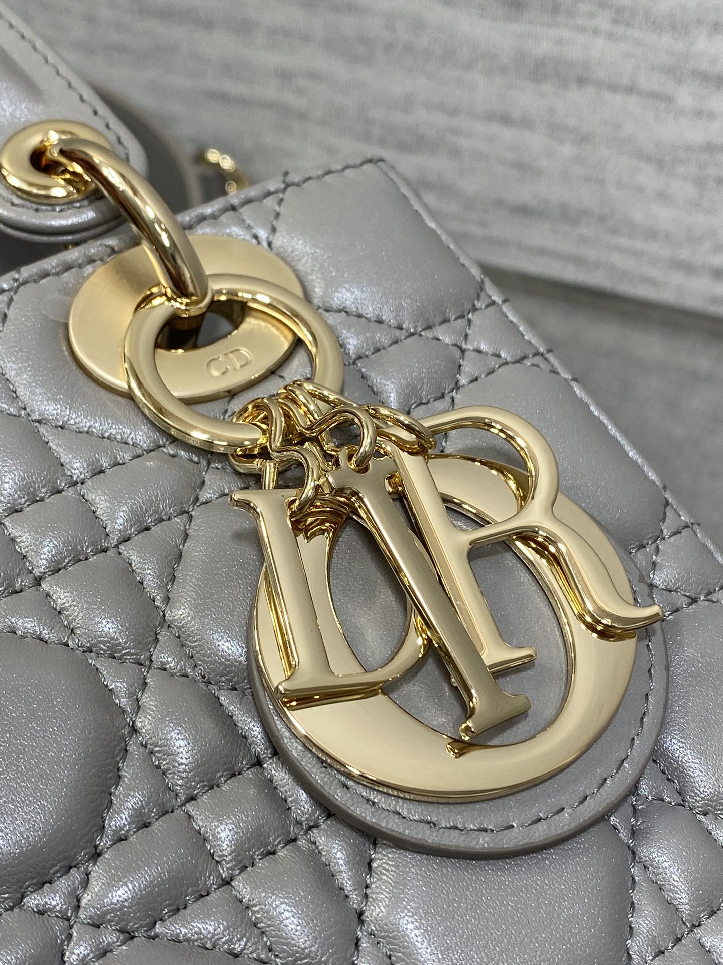 BAG-DIOR-W-LY-542