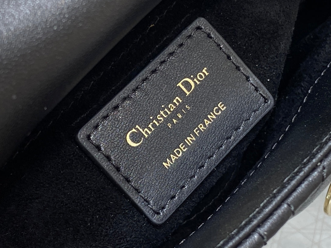 BAG-DIOR-W-LY-188