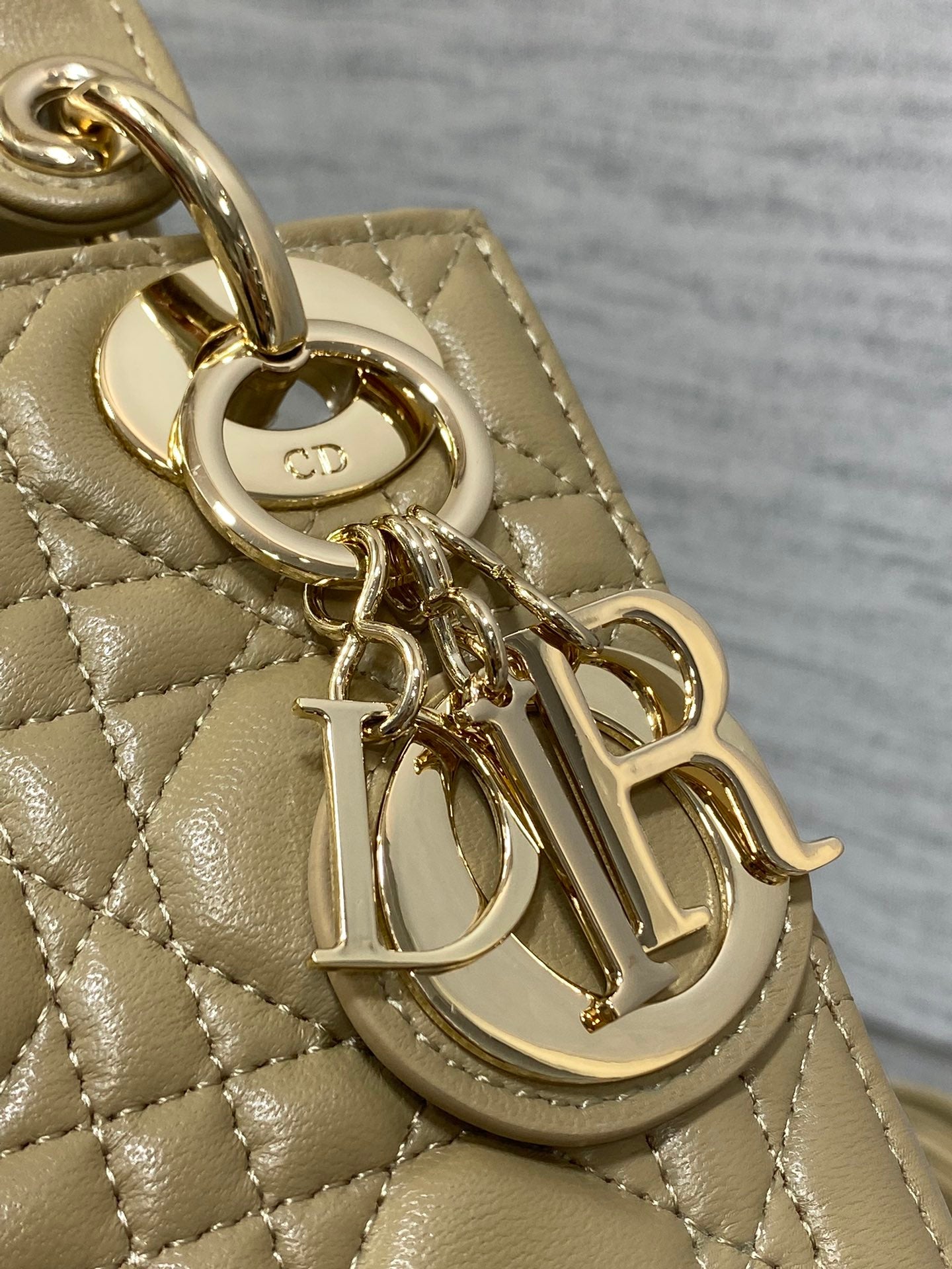 BAG-DIOR-W-LY-748