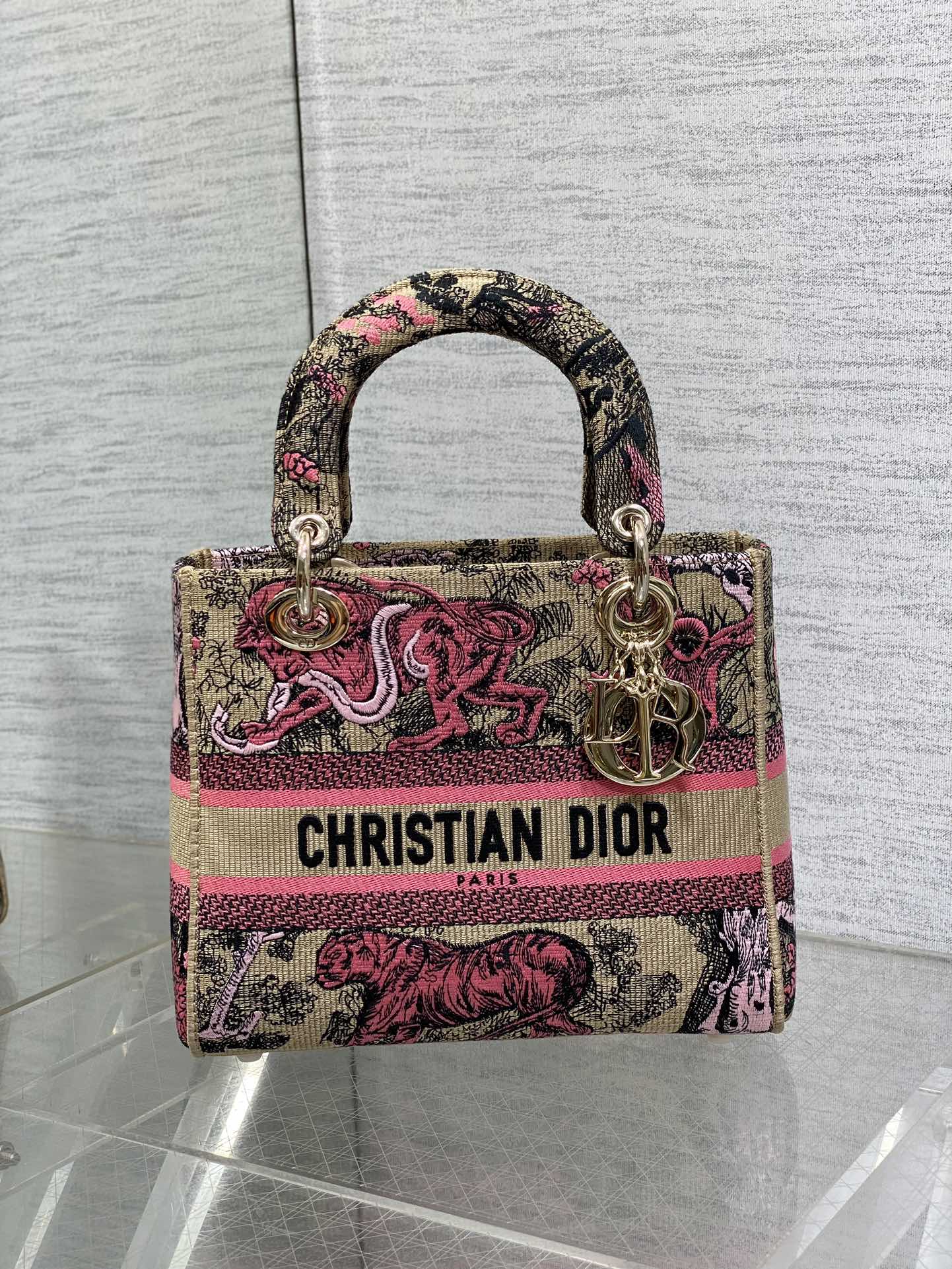 BAG-DIOR-W-LY-071
