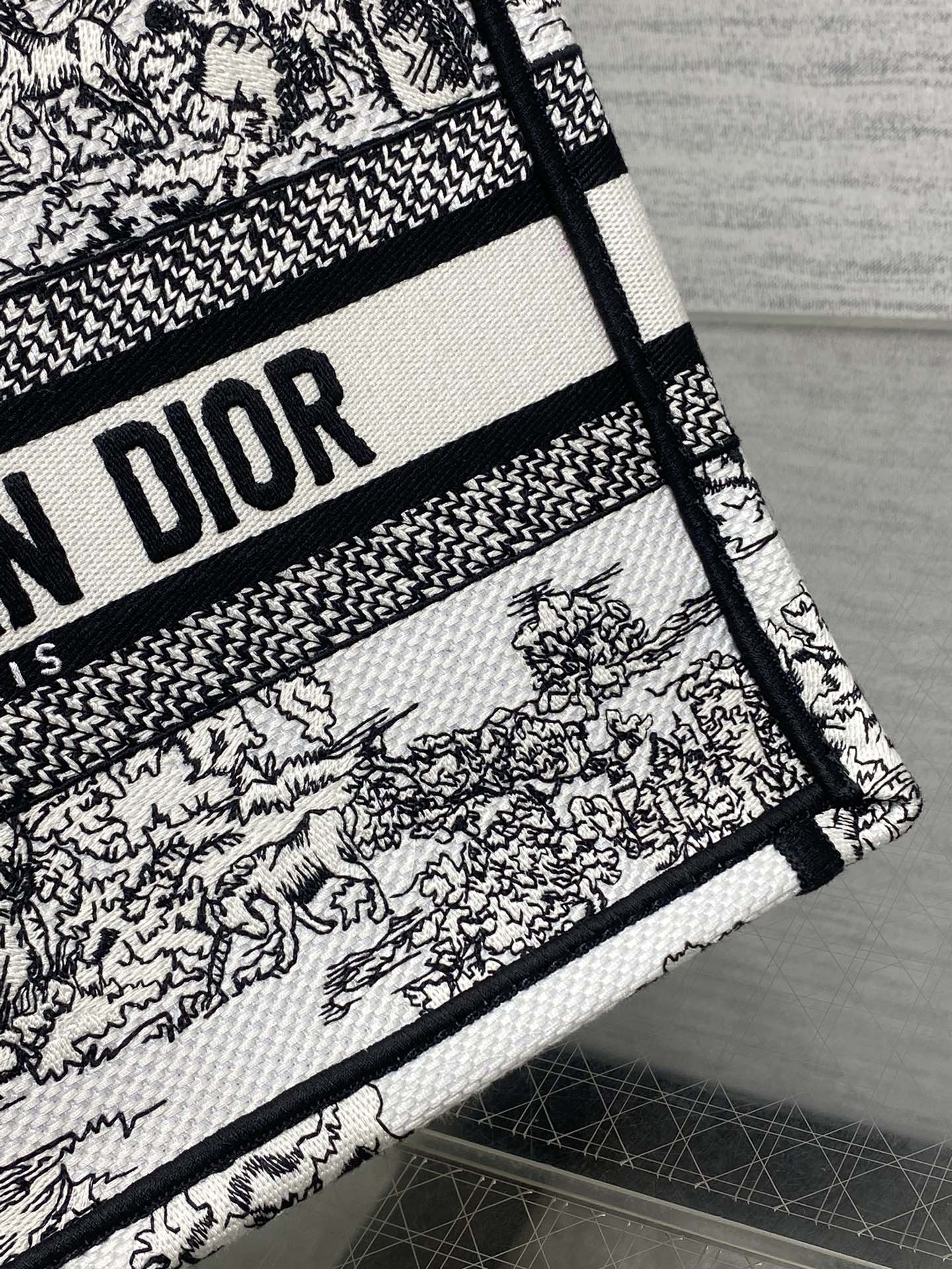 BAG-DIOR-W-LY-862