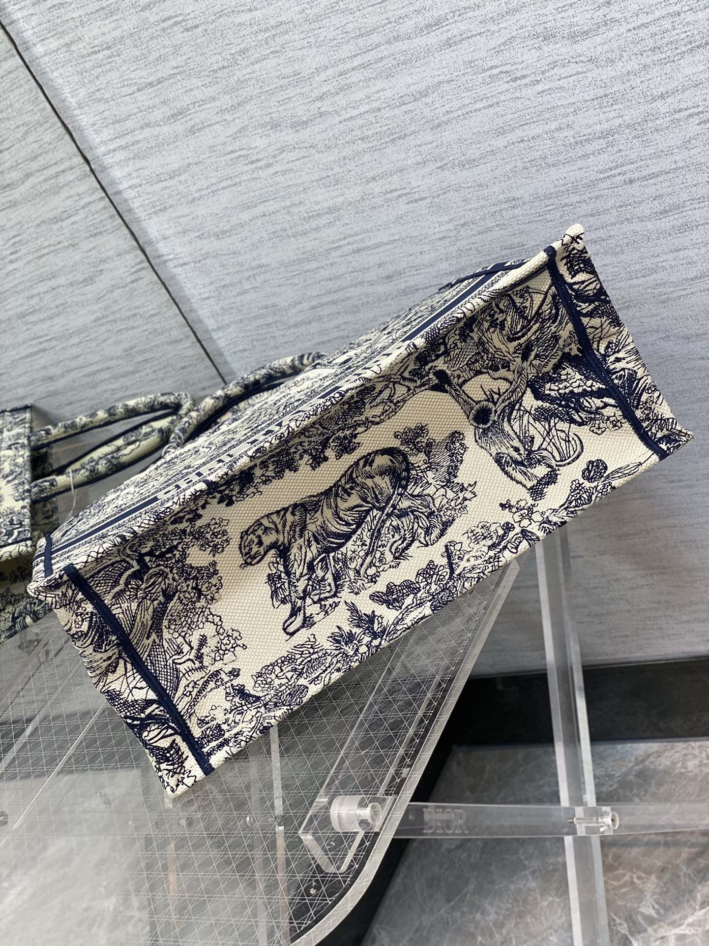 BAG-DIOR-W-LY-921