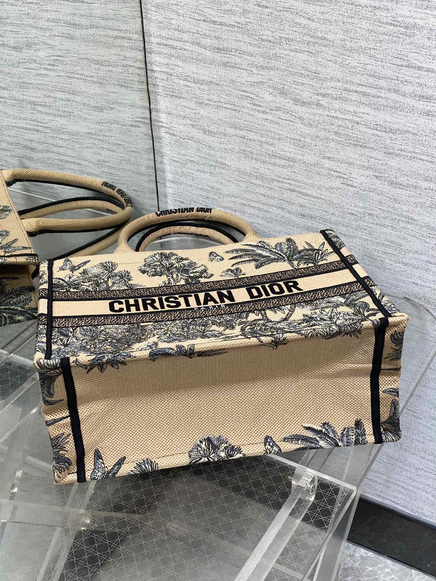 BAG-DIOR-W-LY-204