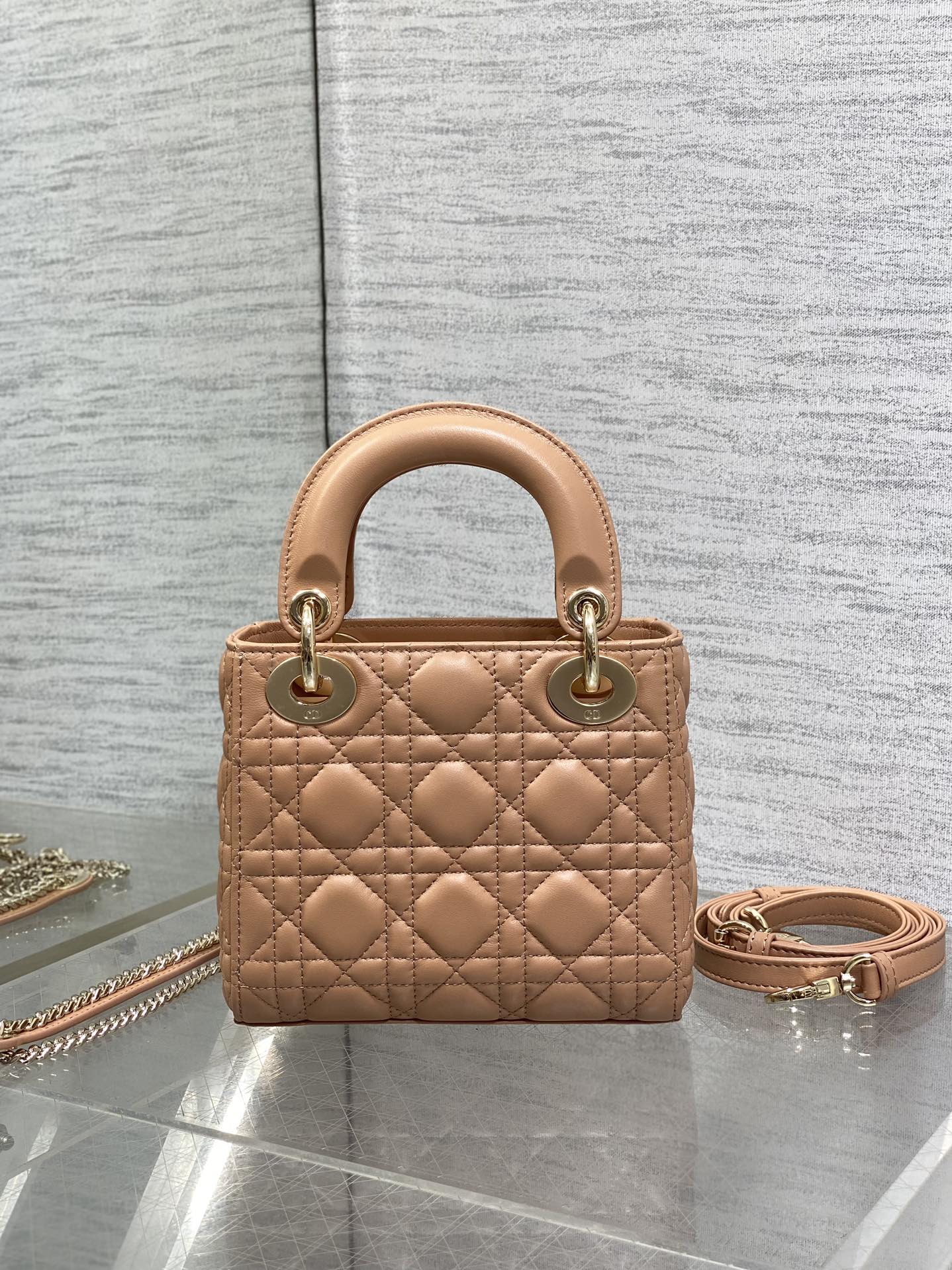 BAG-DIOR-W-LY-753