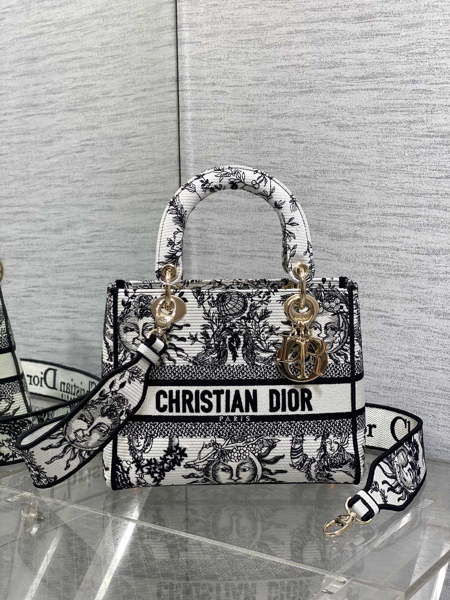 BAG-DIOR-W-LY-445