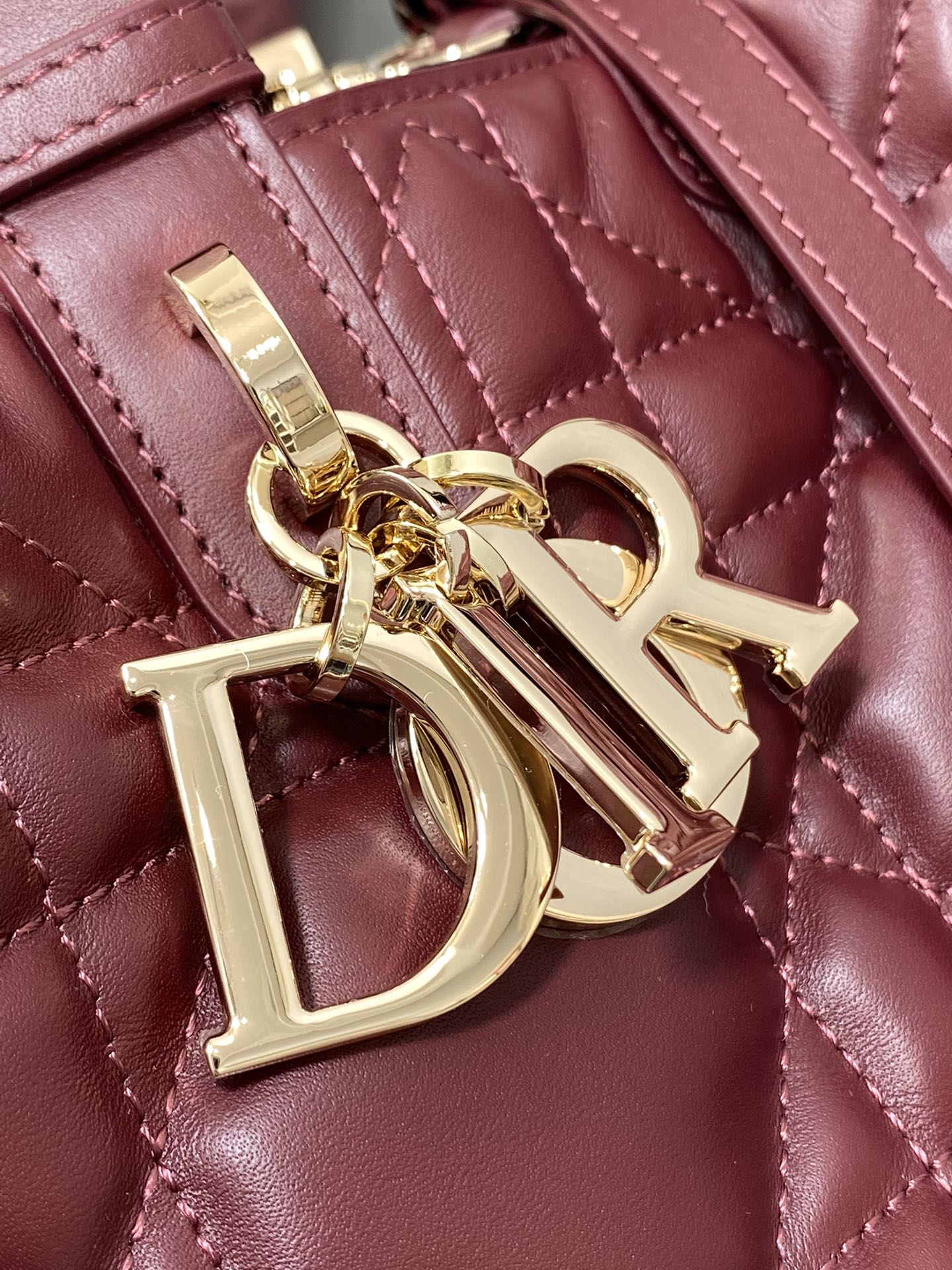 BAG-DIOR-W-LY-154