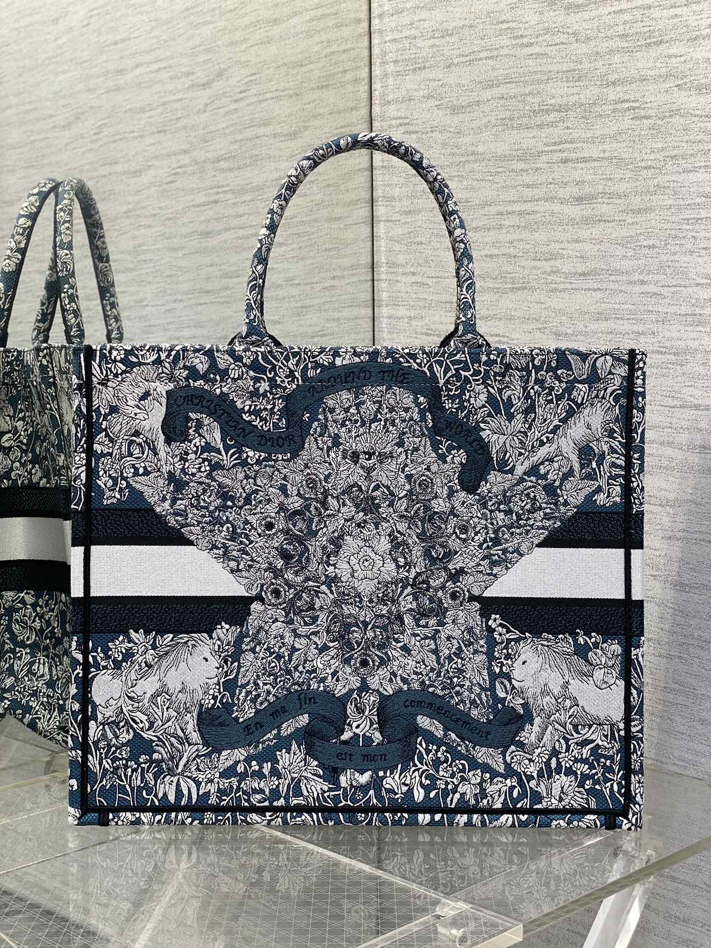 BAG-DIOR-W-LY-848