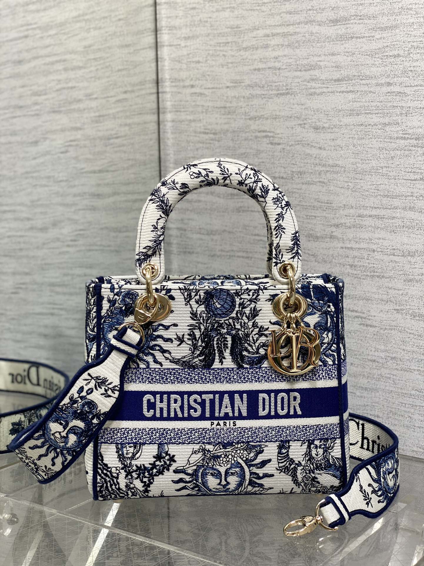 BAG-DIOR-W-LY-454