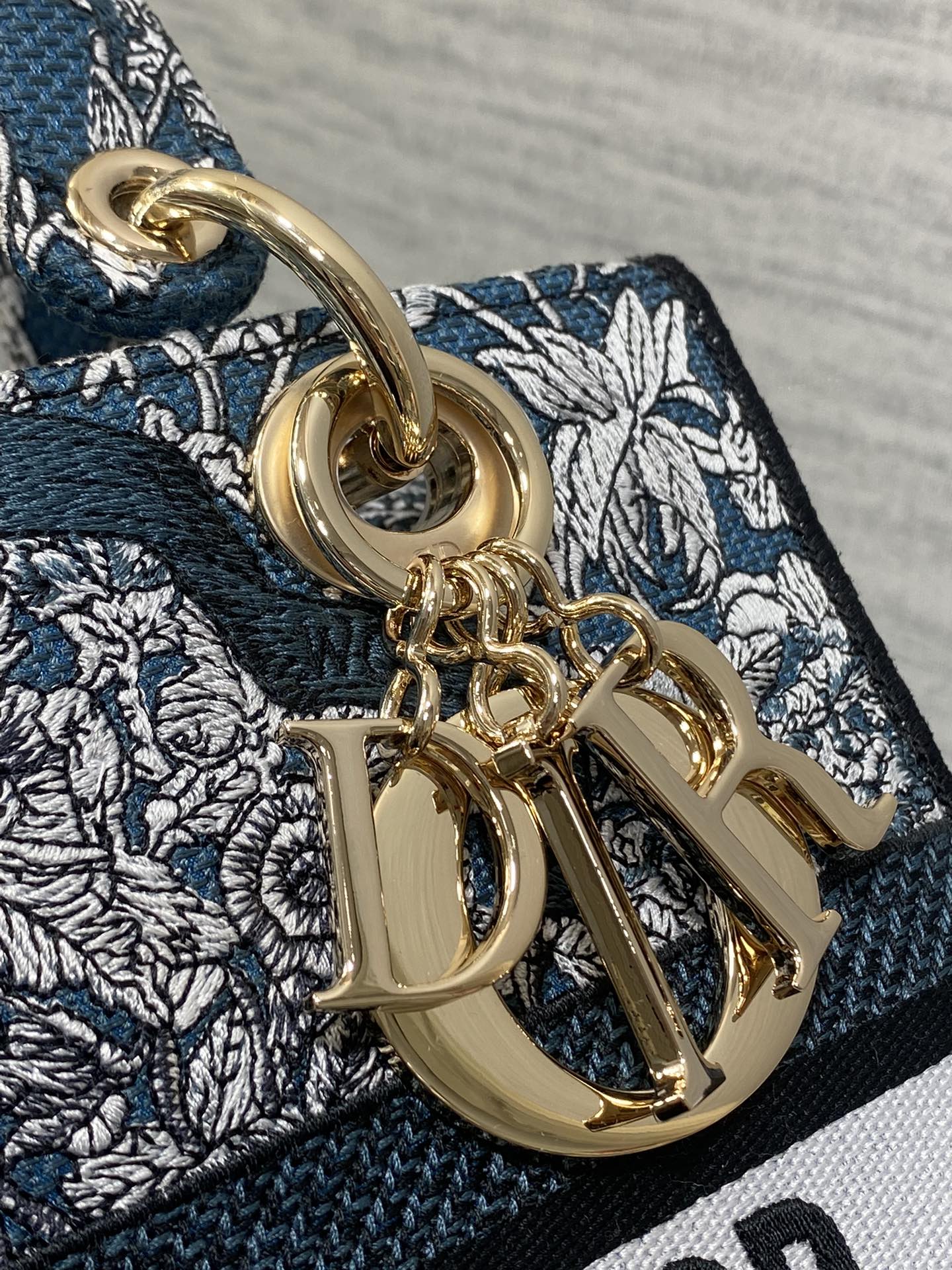 BAG-DIOR-W-LY-496