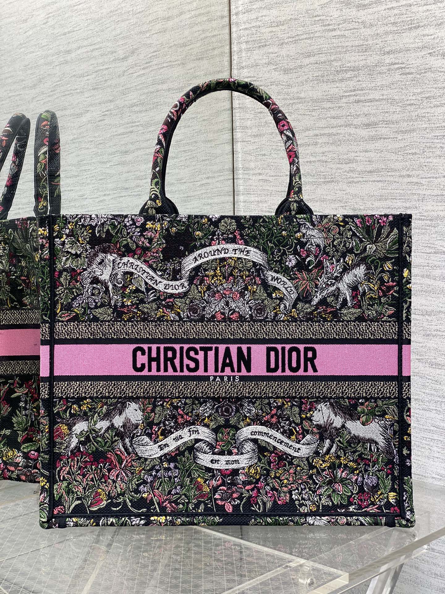 BAG-DIOR-W-LY-873