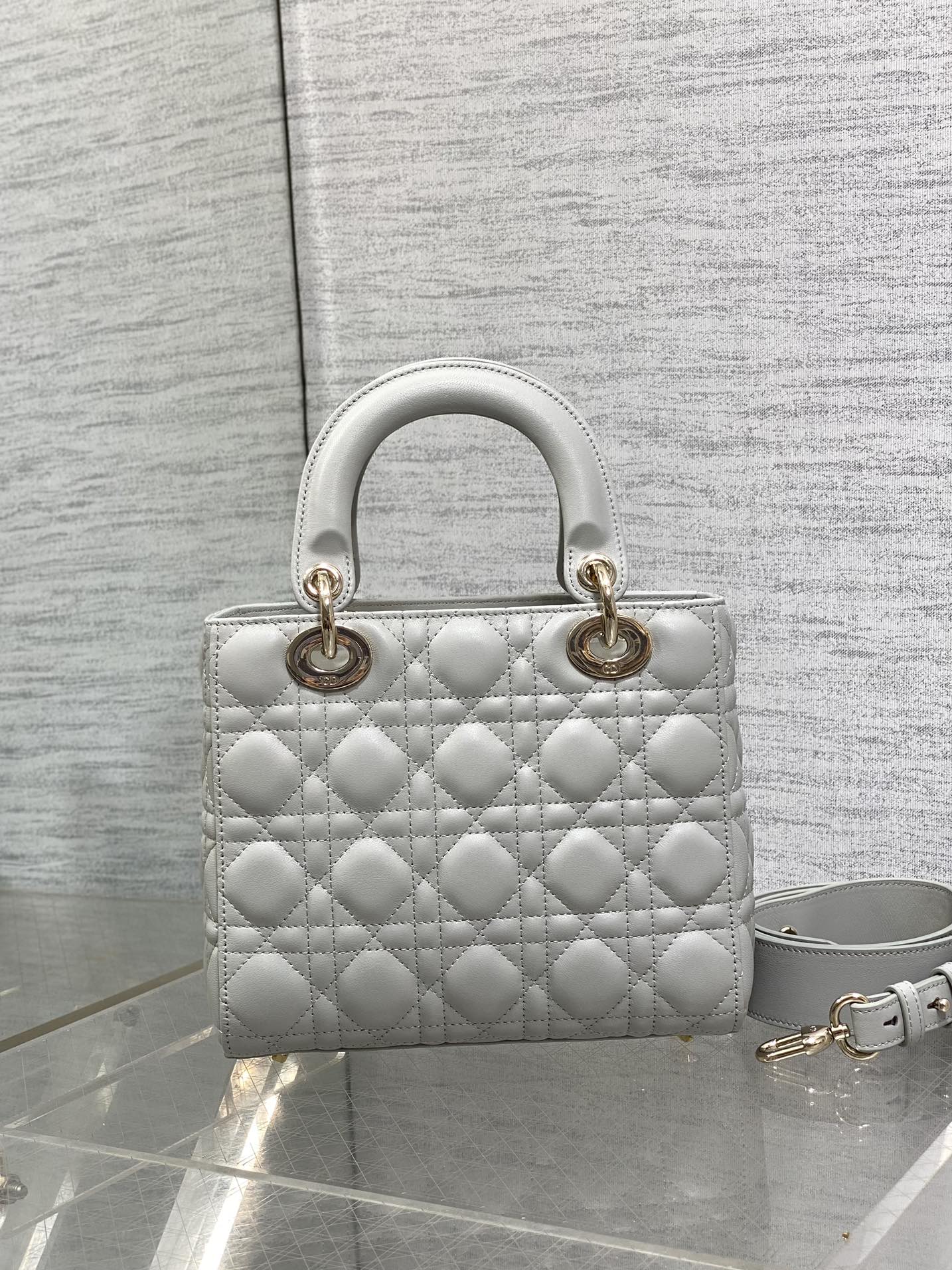 BAG-DIOR-W-LY-686
