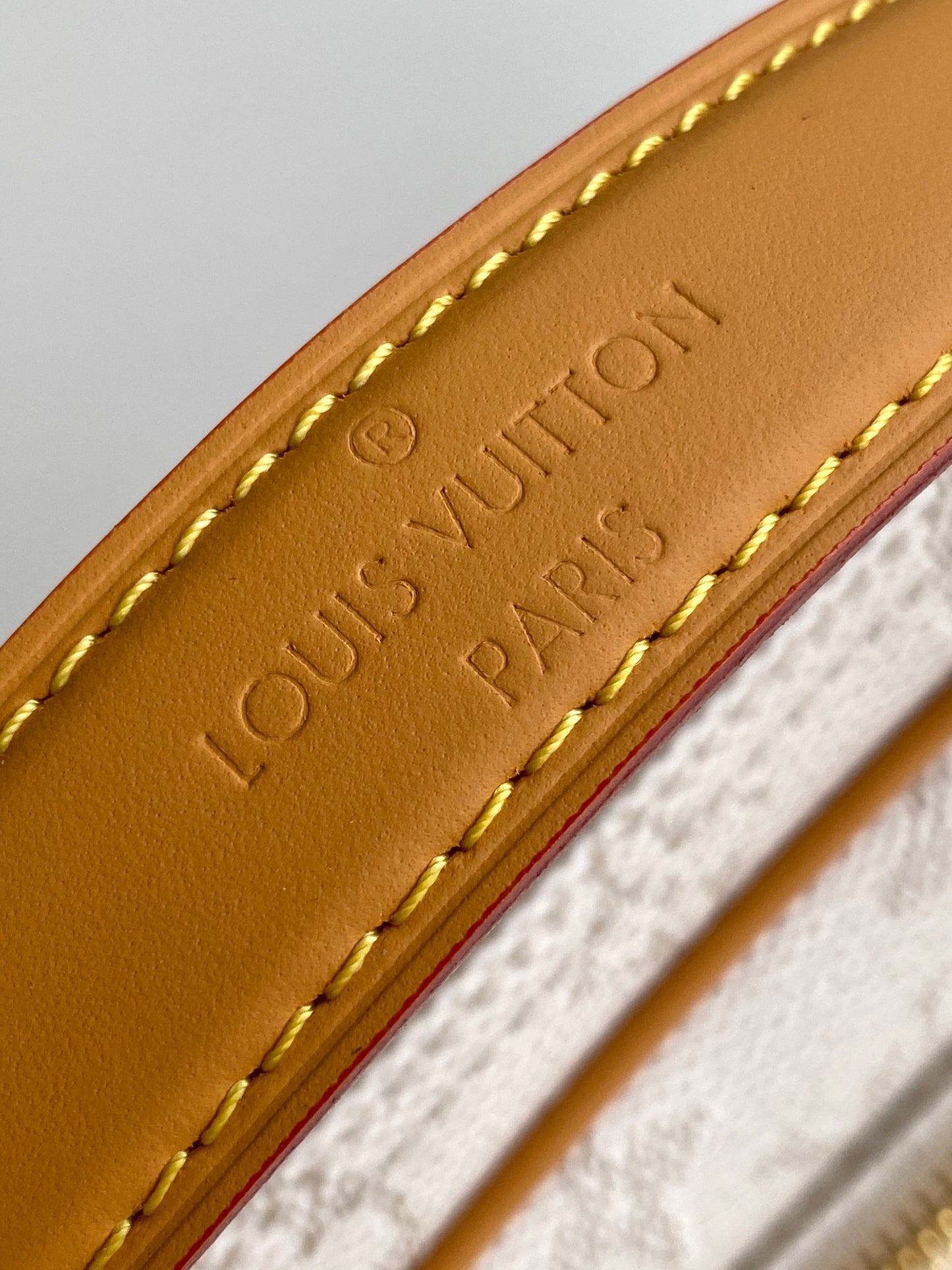 BAG-LV-W-NEW-555