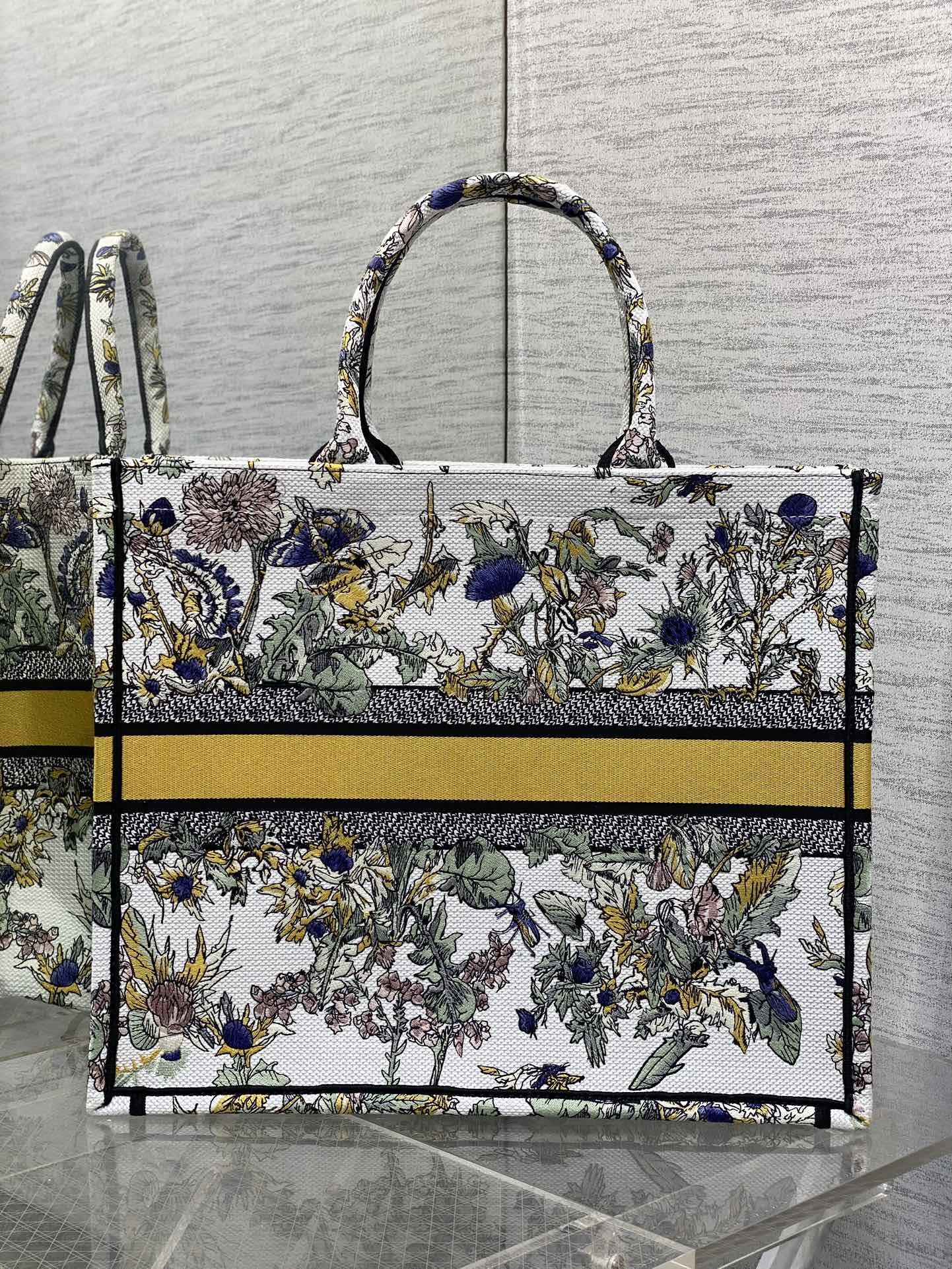 BAG-DIOR-W-LY-861